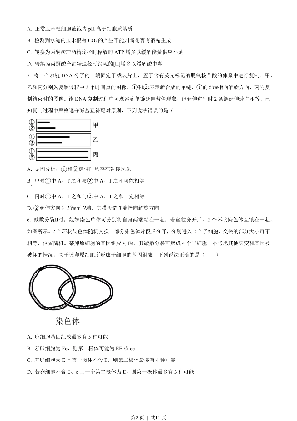 2023年高考生物试卷（山东）（空白卷）.pdf_第2页