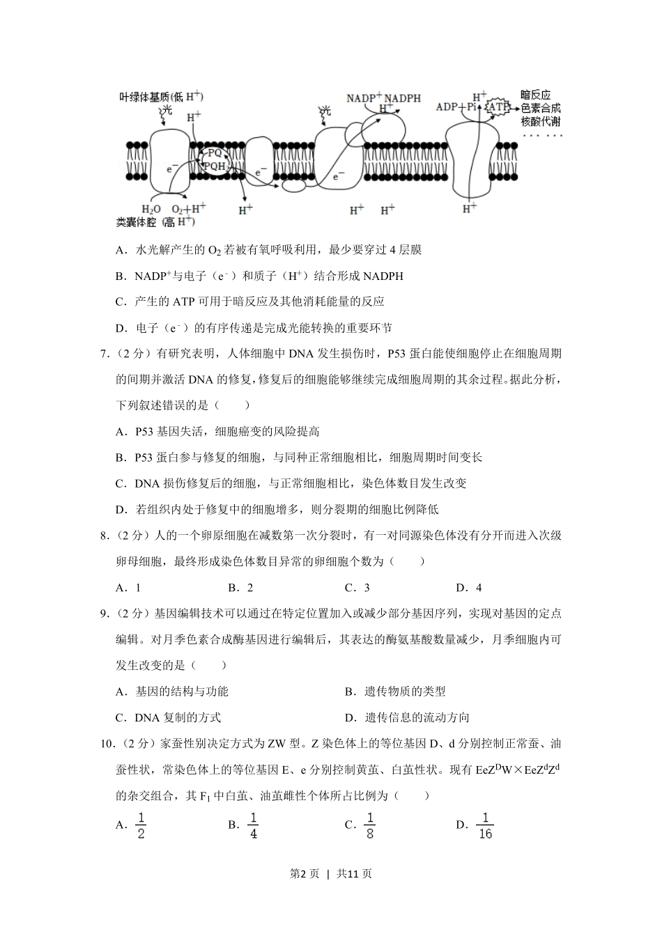 2021年高考生物试卷（重庆）（空白卷）.pdf_第2页