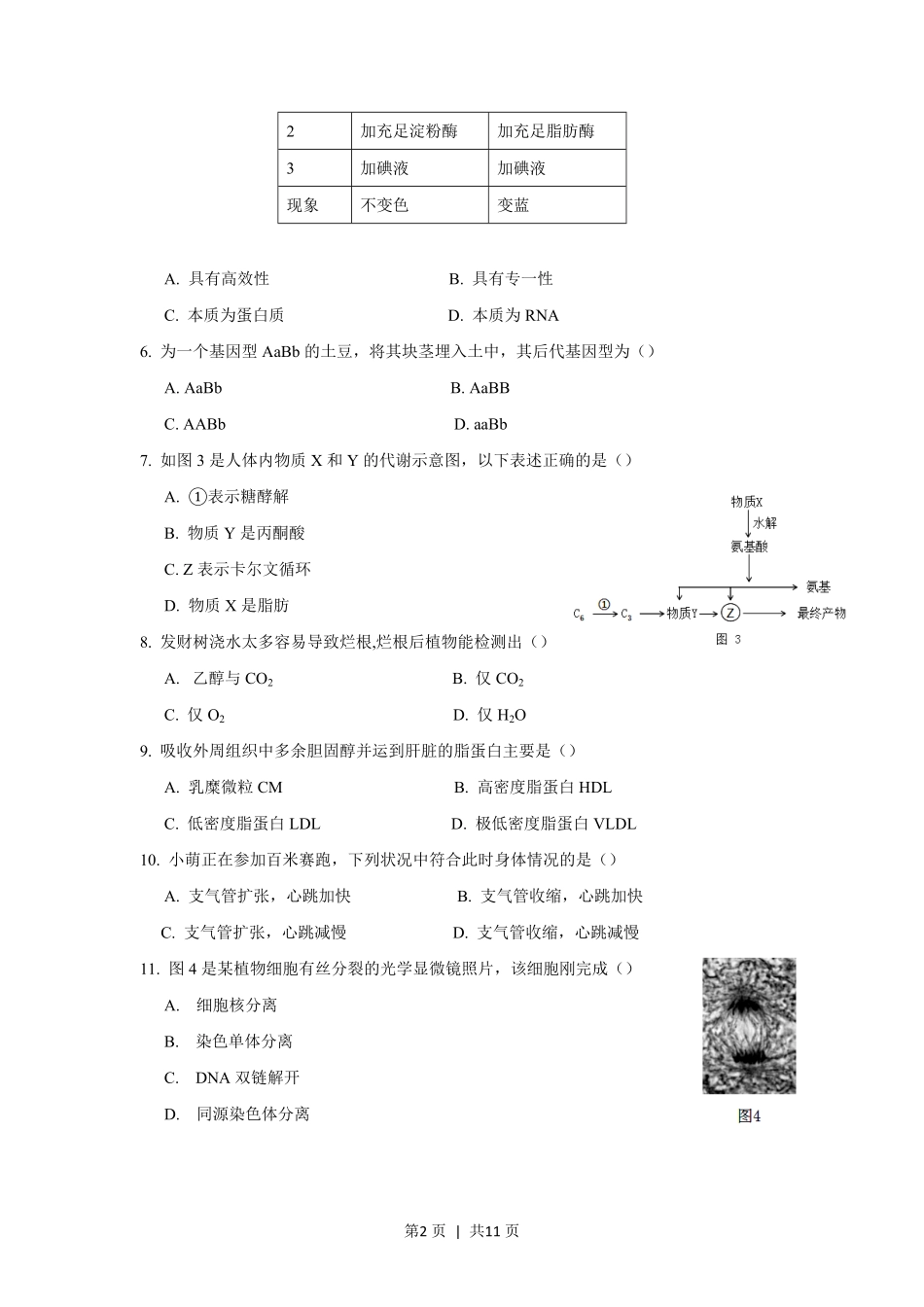2018年高考生物试卷（上海）（空白卷）.pdf_第2页