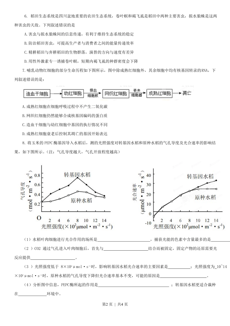 2013年高考生物试卷（四川）（空白卷）.pdf_第2页