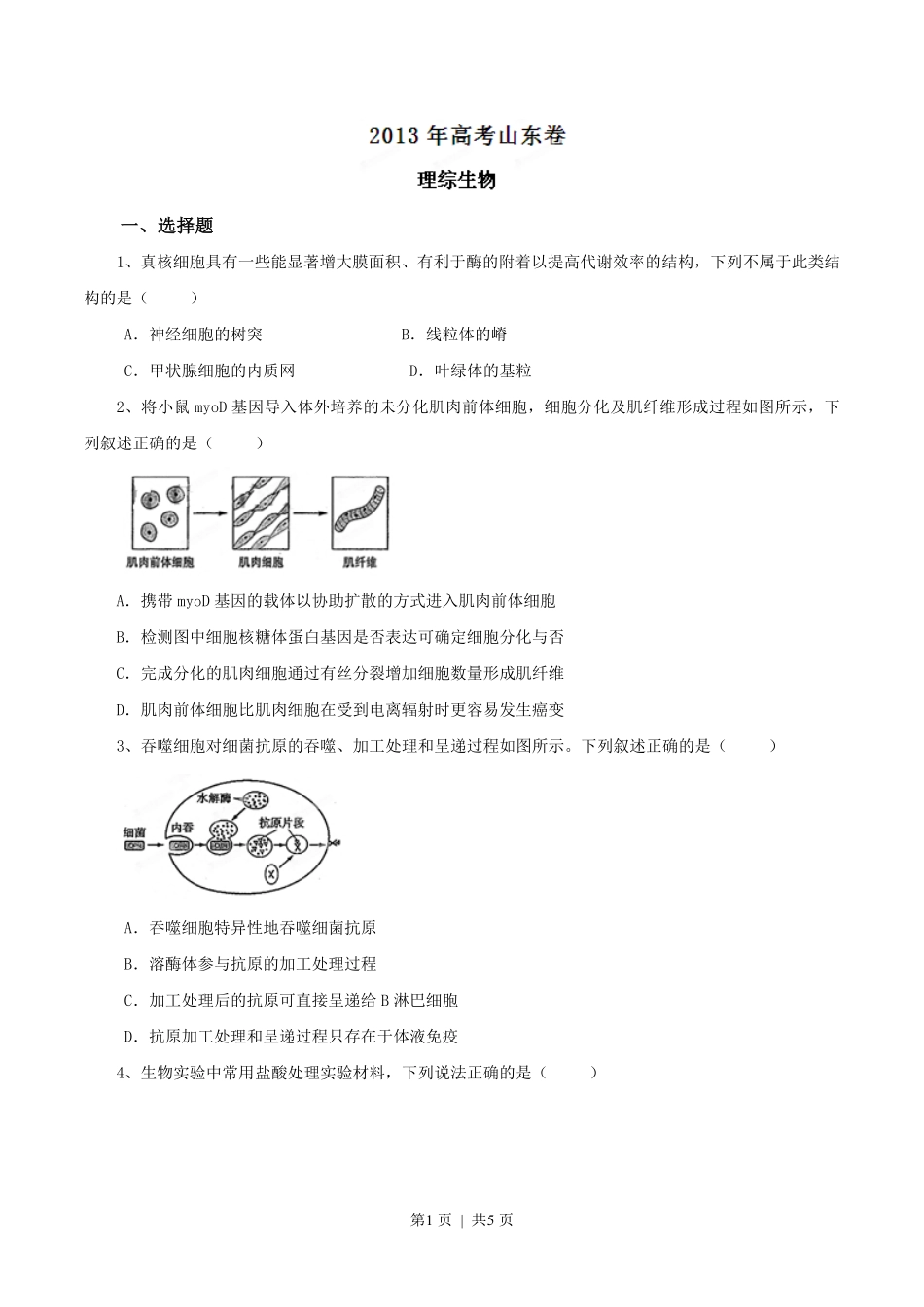 2013年高考生物试卷（山东）（空白卷）.pdf_第1页