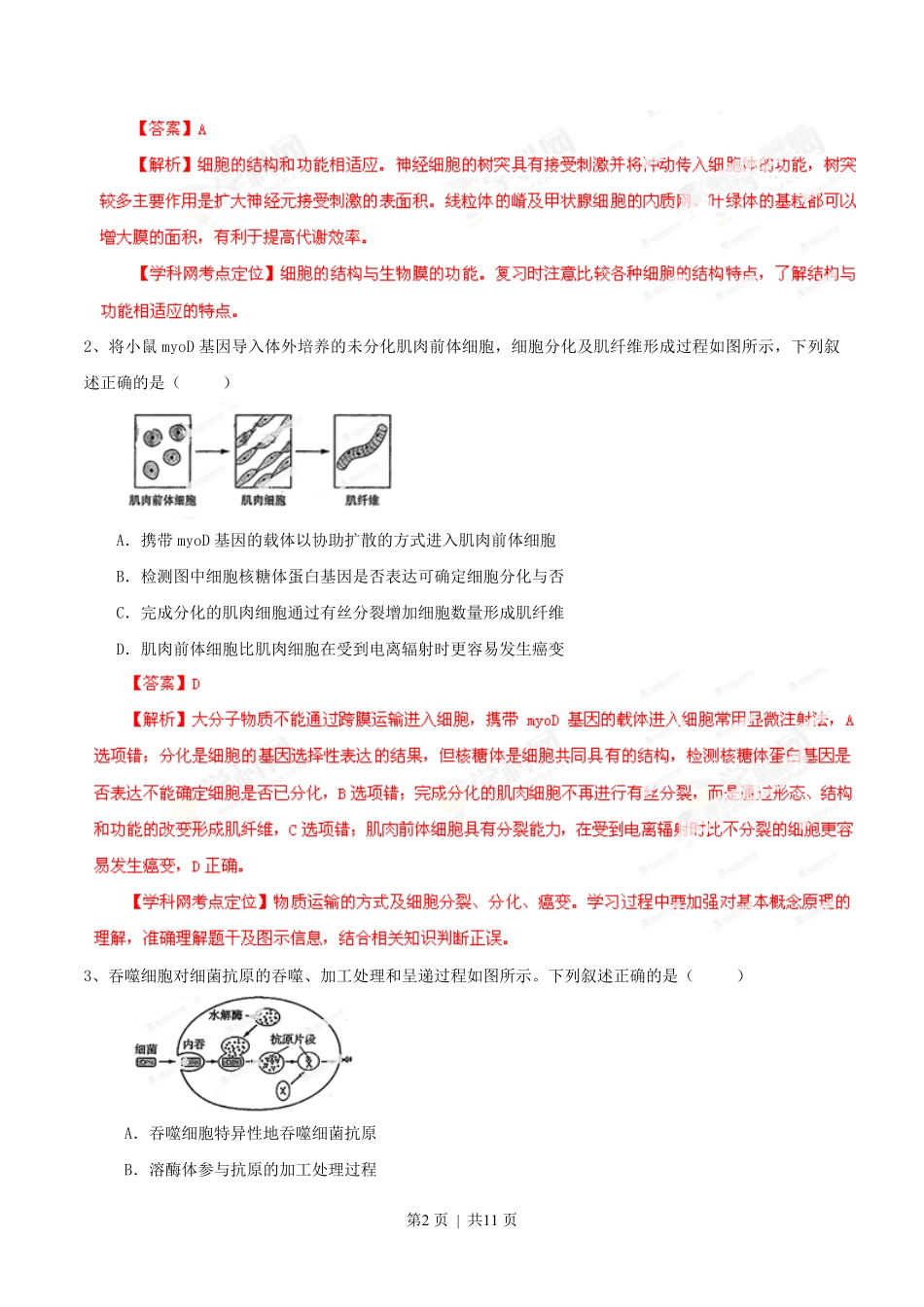 2013年高考生物试卷（山东）（解析卷）.pdf_第2页