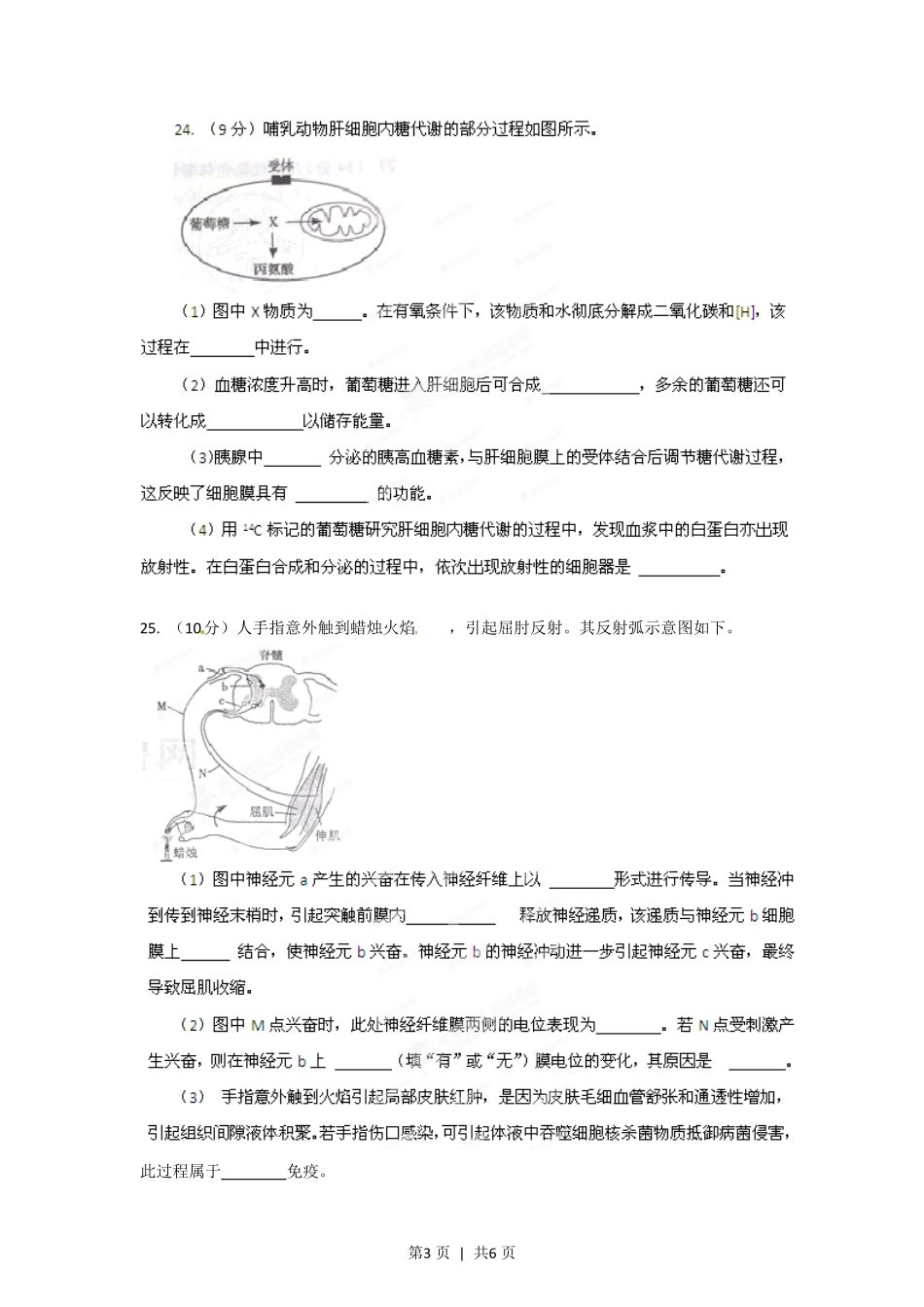 2012年高考生物试卷(山东)(空白卷).pdf_第3页