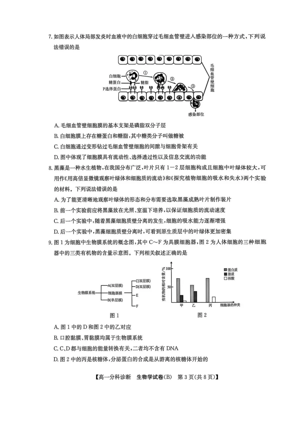 江南十校2025-2026学年高一上学期12月联考生物B.pdf_第3页