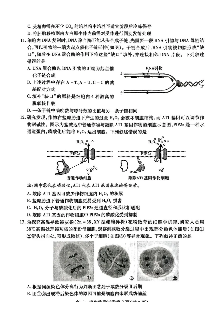 内江市高中2026届第一次模拟考试题生物.pdf_第3页