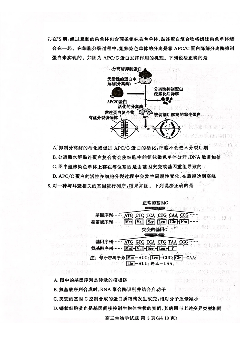 山东高考质量测评联盟大联考高三12月联考生物.pdf_第3页