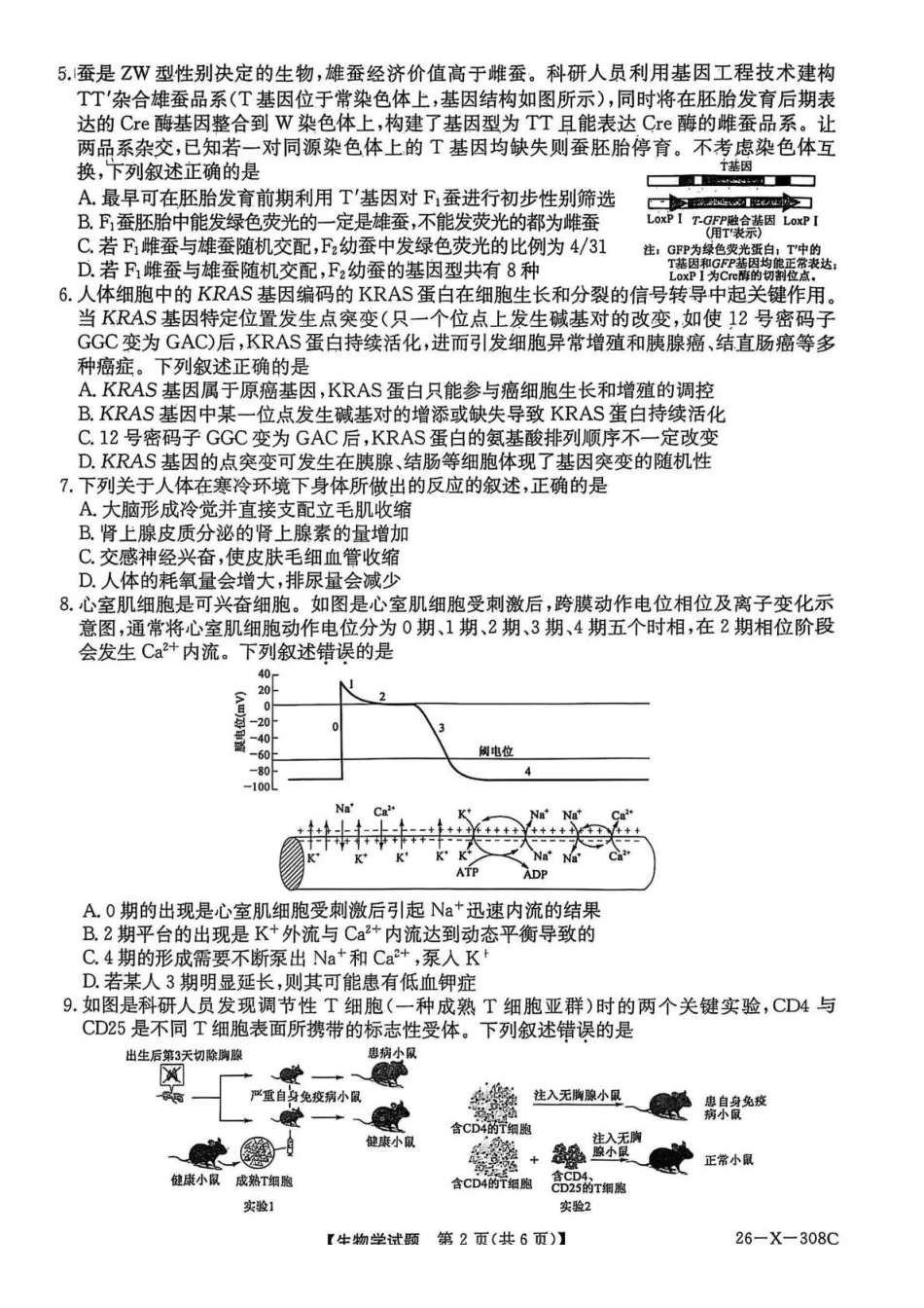 生物试卷(26-X-308C)河南省2026届高三年级TOP二十名校调研考试二（12.23-12.24）.pdf_第2页