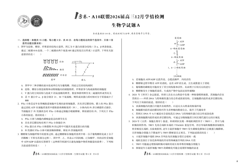 生物试卷(A卷)安徽省1号卷A10联盟2026届高三12月学情检测(12.23-12.24).pdf_第1页