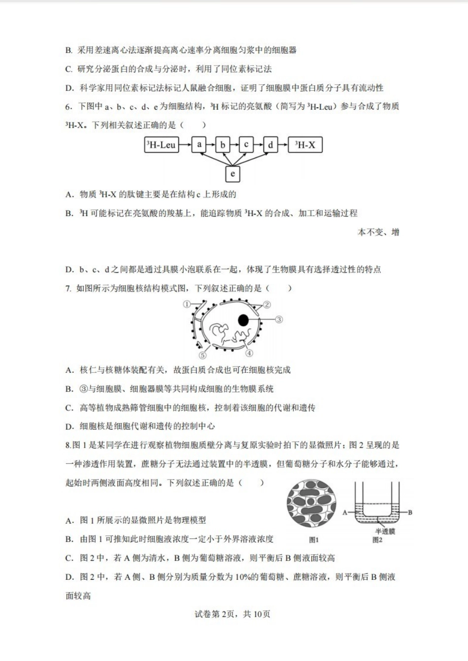 生物试卷+答案【Top35强校】辽宁省实验中学2028届高一年级12月份阶段测试(12.12-12.13).pdf_第2页