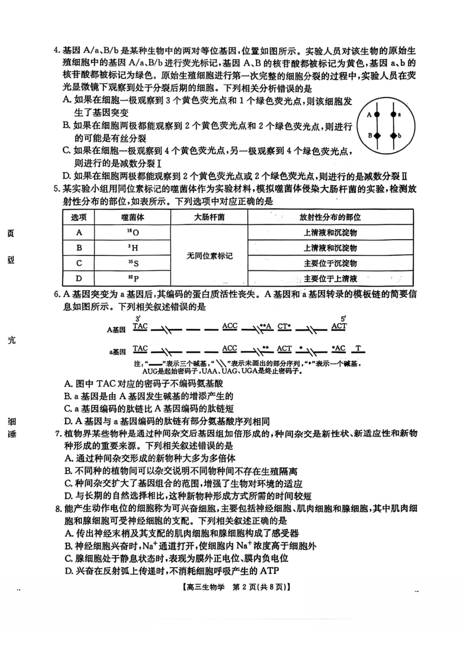 生物试卷+答案河北省金太阳2026届高三年级上学期12月联考()()(12.22-12.23).pdf_第2页