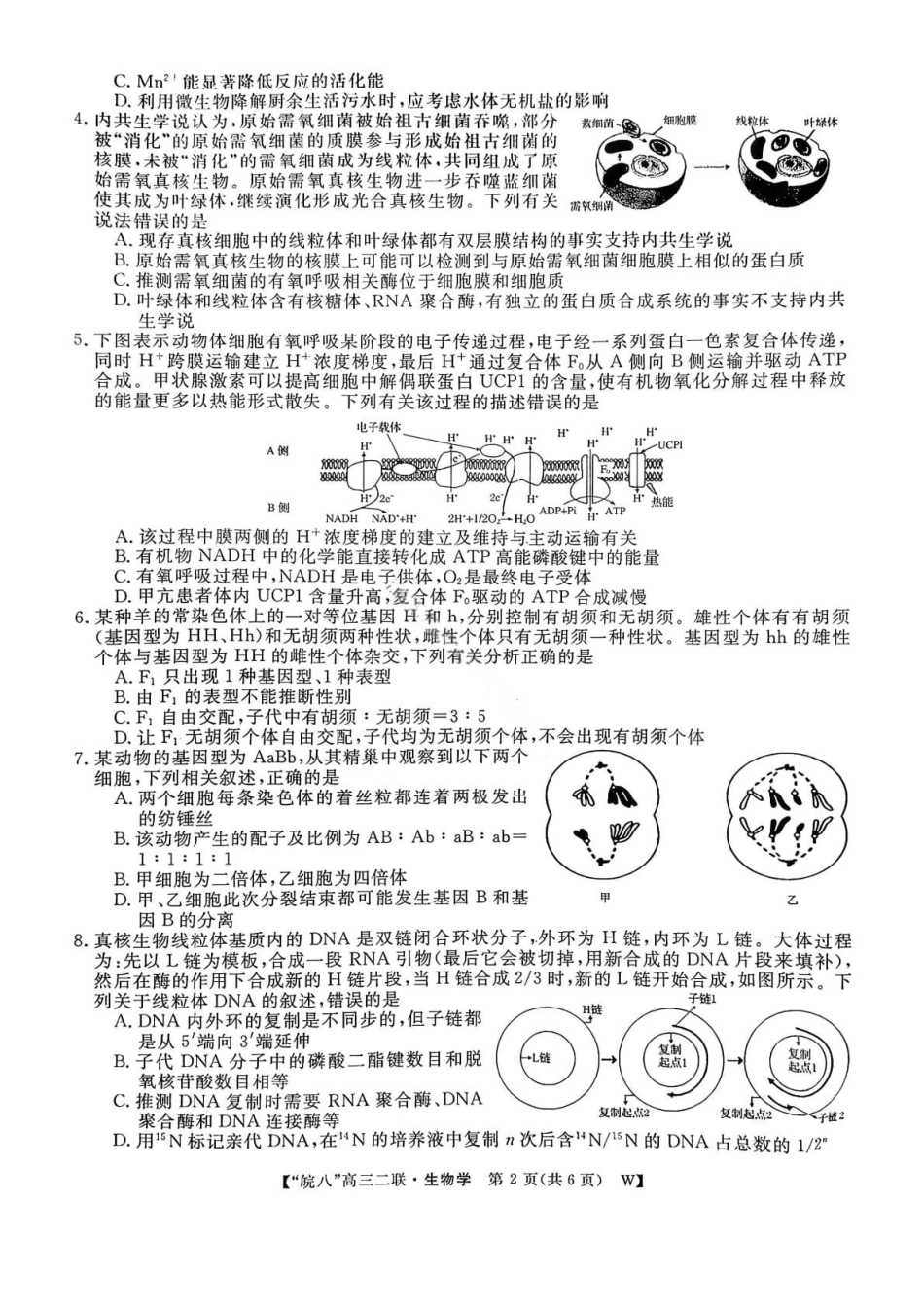 生物试卷安徽省2026届安徽省“皖南八校”高三第二次大联考(12.18-12.19).pdf_第2页