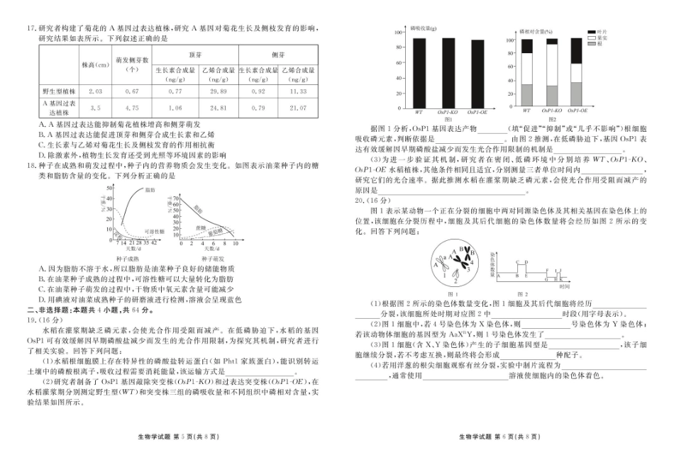 生物试卷湖北省衡水金卷2026届高三年级上学期12月阶段性测试（12.19-12.20）.pdf_第3页
