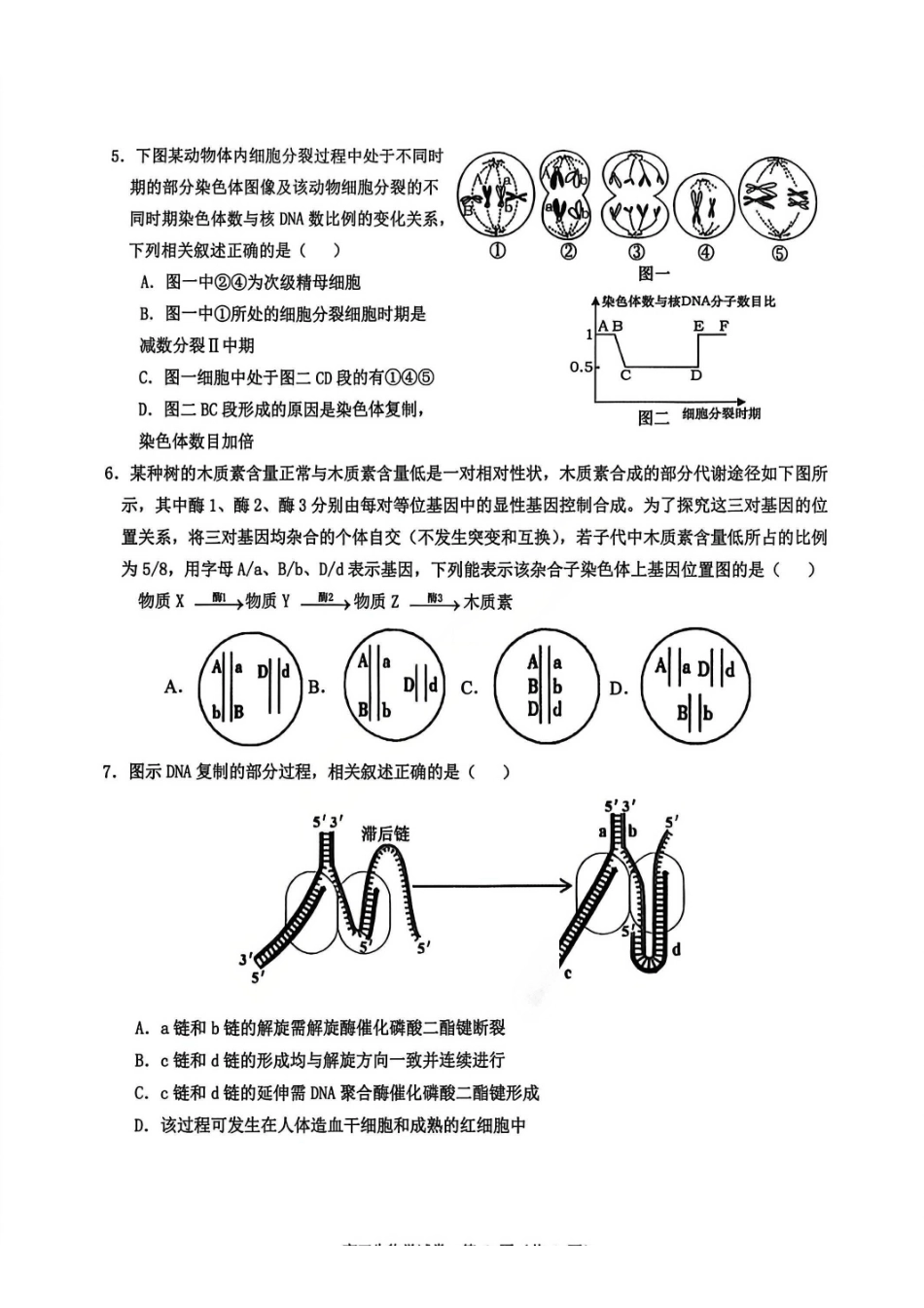 生物试卷湖北省云学联盟2025年高三年级上学期12月考试(12.18-12.19).pdf_第2页