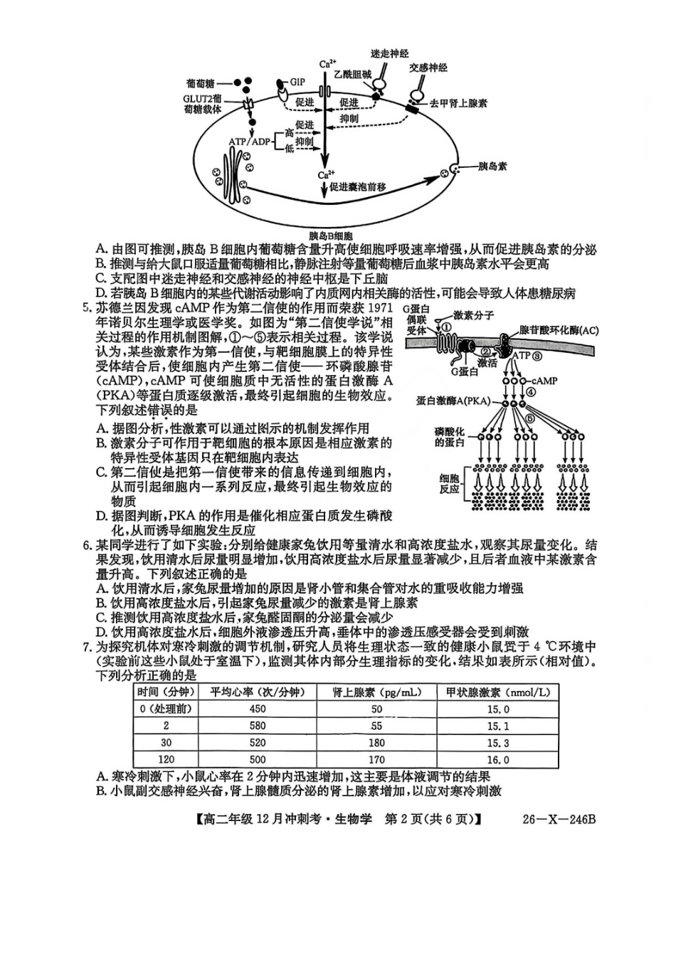 生物试卷山西省吕梁市三晋卓越联盟20225-2026学年高二12月冲刺卷(26-X-246B)(12.22-12.23).pdf_第2页