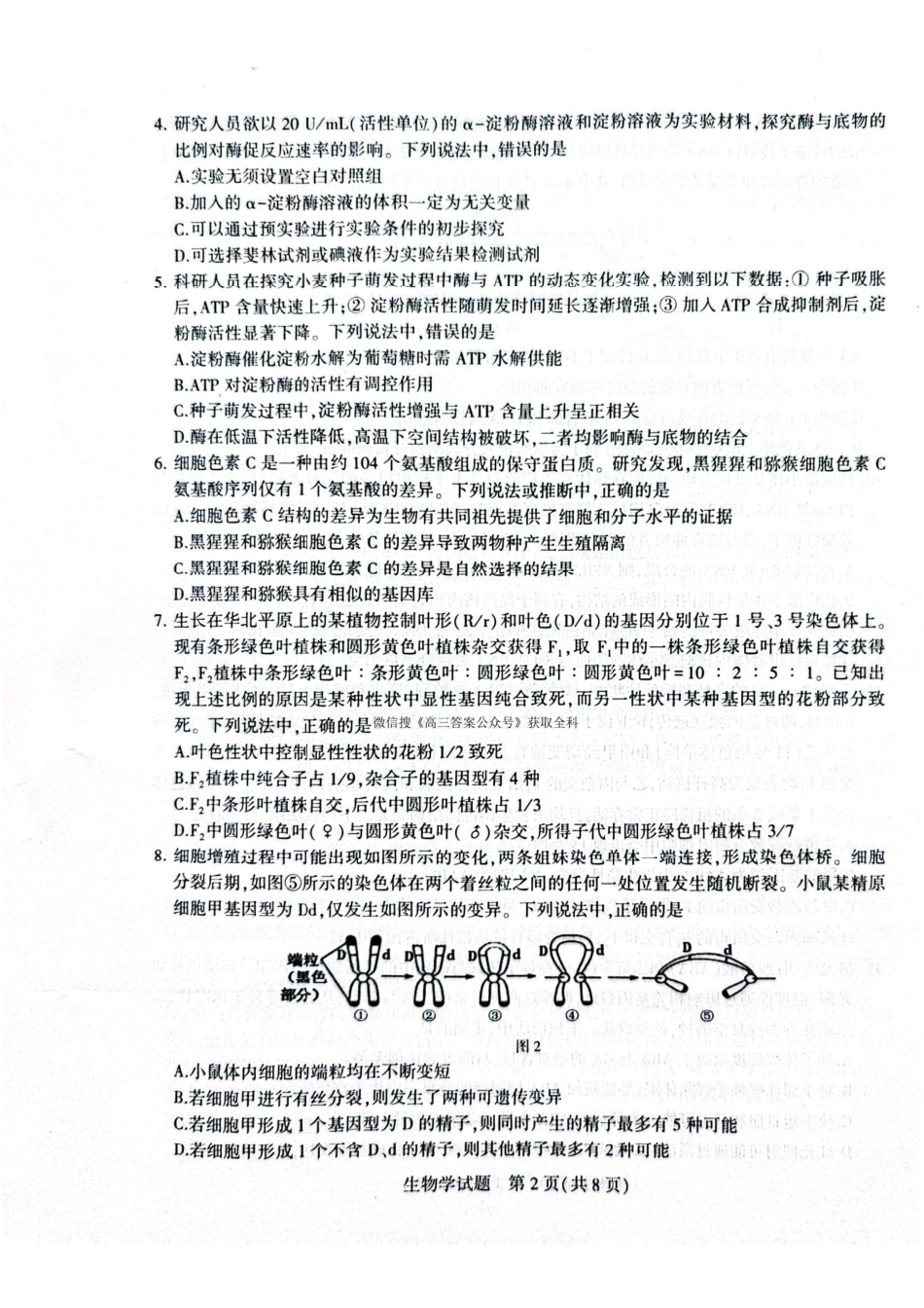 生物试题卷-山东省九五高中协作体2026届高三年级12月质量检测（九五联考）(12.17-12.18).pdf_第2页