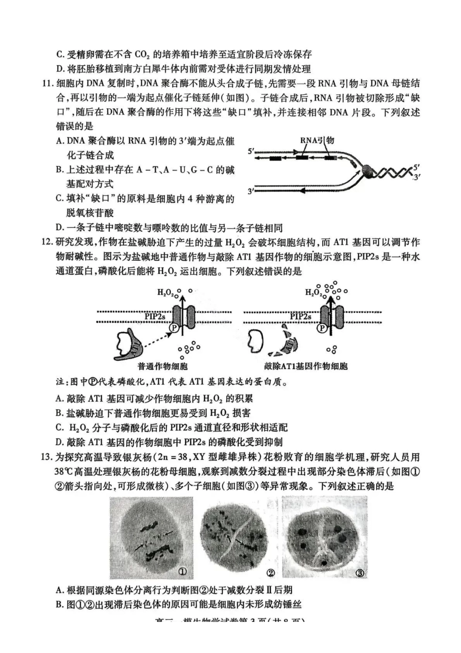 生物试题-内江市高中2026届高三第一次模拟考试（含答案）.pdf_第3页