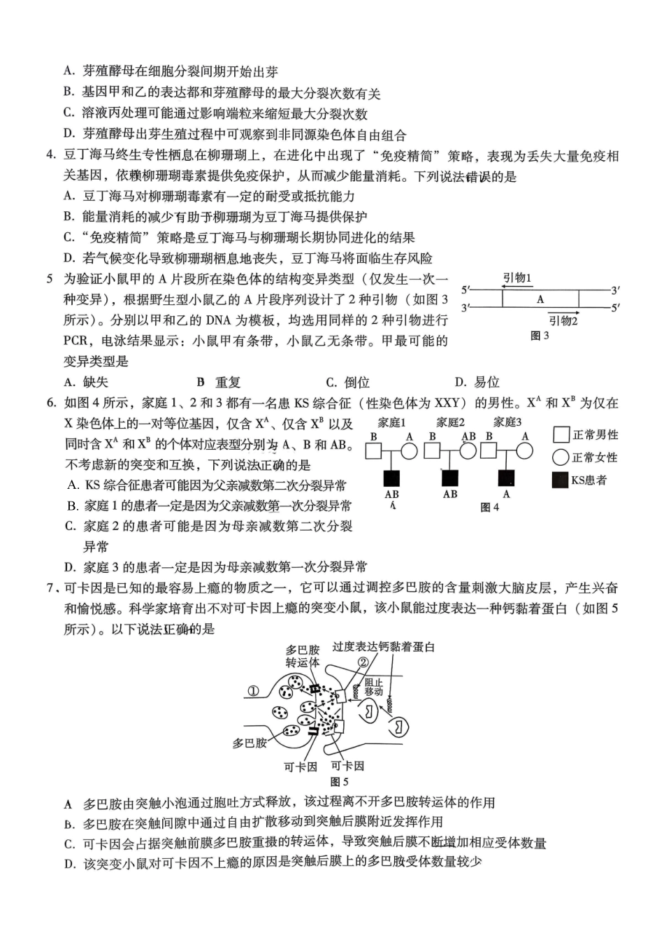 重庆市第八中学2026届高考适应性月考卷（四）生物.pdf_第2页