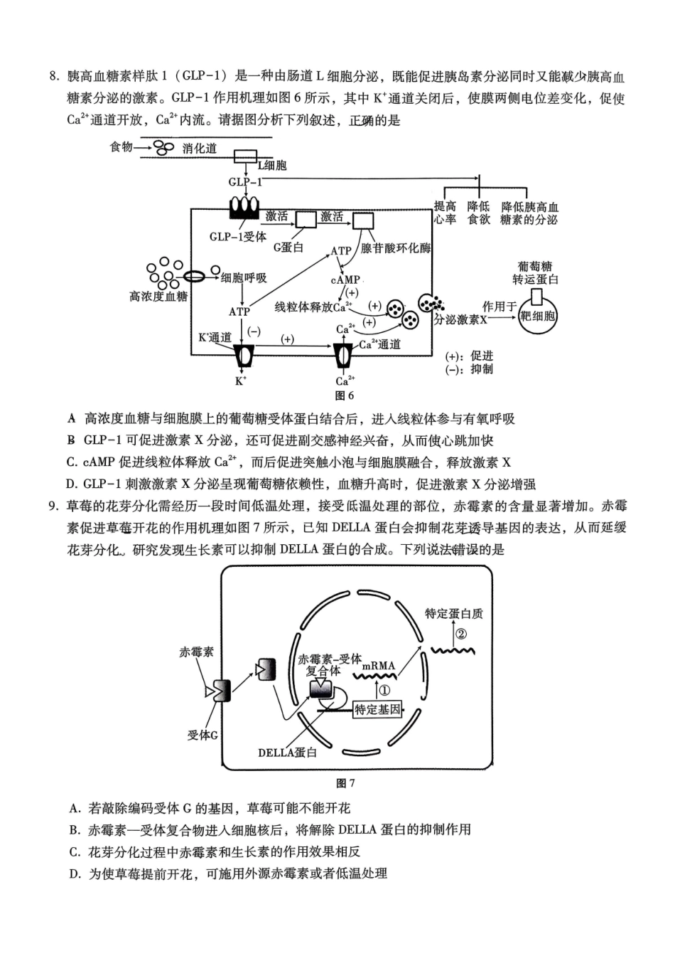 重庆市第八中学2026届高考适应性月考卷（四）生物.pdf_第3页