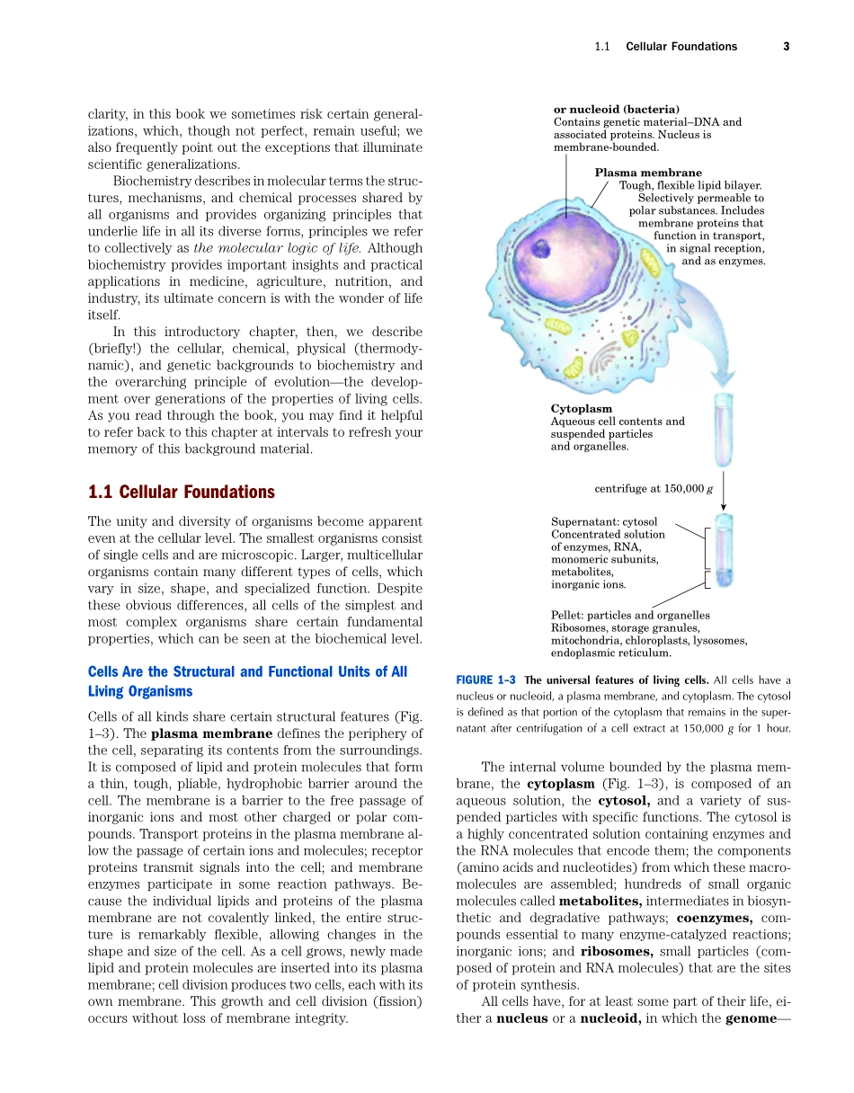 chap01+++++THE+FOUNDATIONS.pdf_第3页