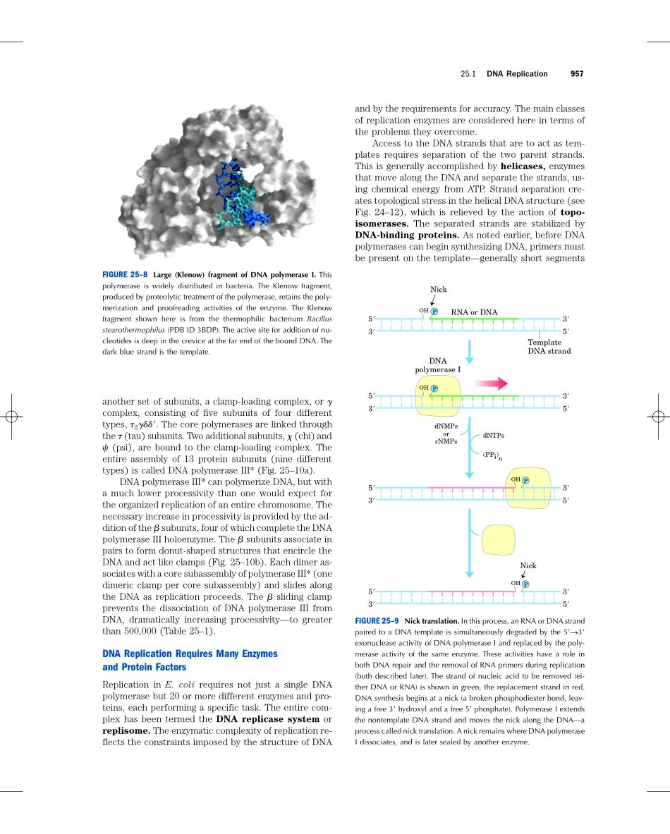 chap25+++++DNA+METABOLISM.pdf_第1页