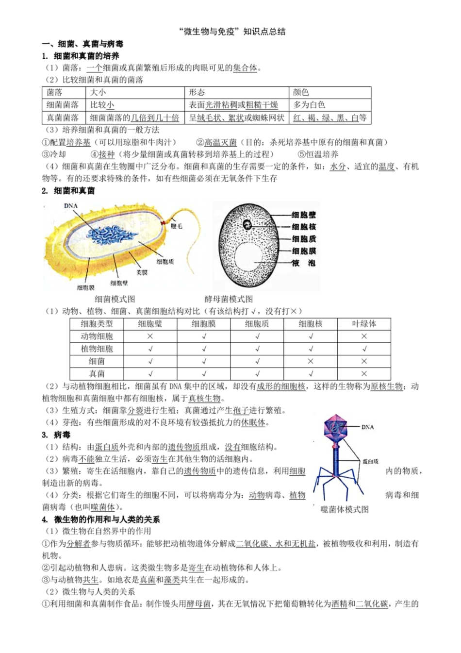 微生物与免疫知识点总结@答案.pdf_第1页