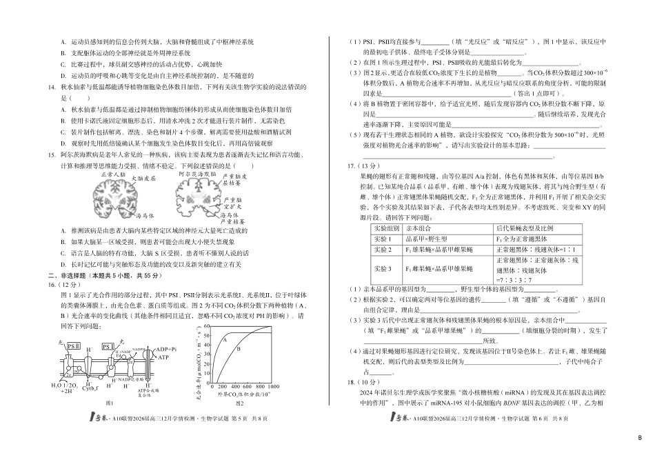 （B卷）1号卷A10联盟2026届高三12月学情检测生物学b.pdf_第3页