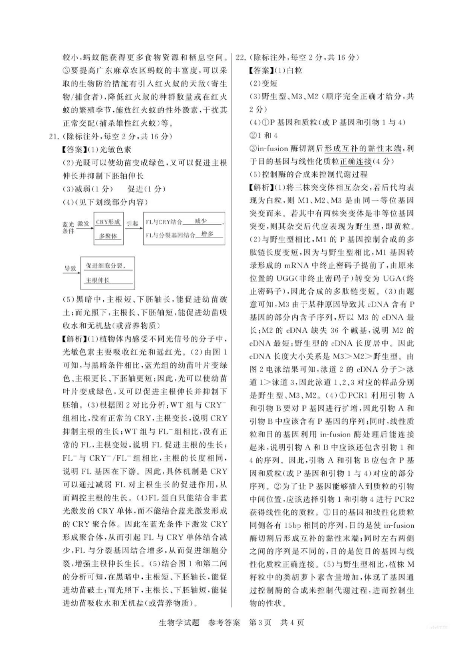 【生物】福建省2026届高三第一次八省联考（T8联考）（12.24-12.25）.pdf_第3页
