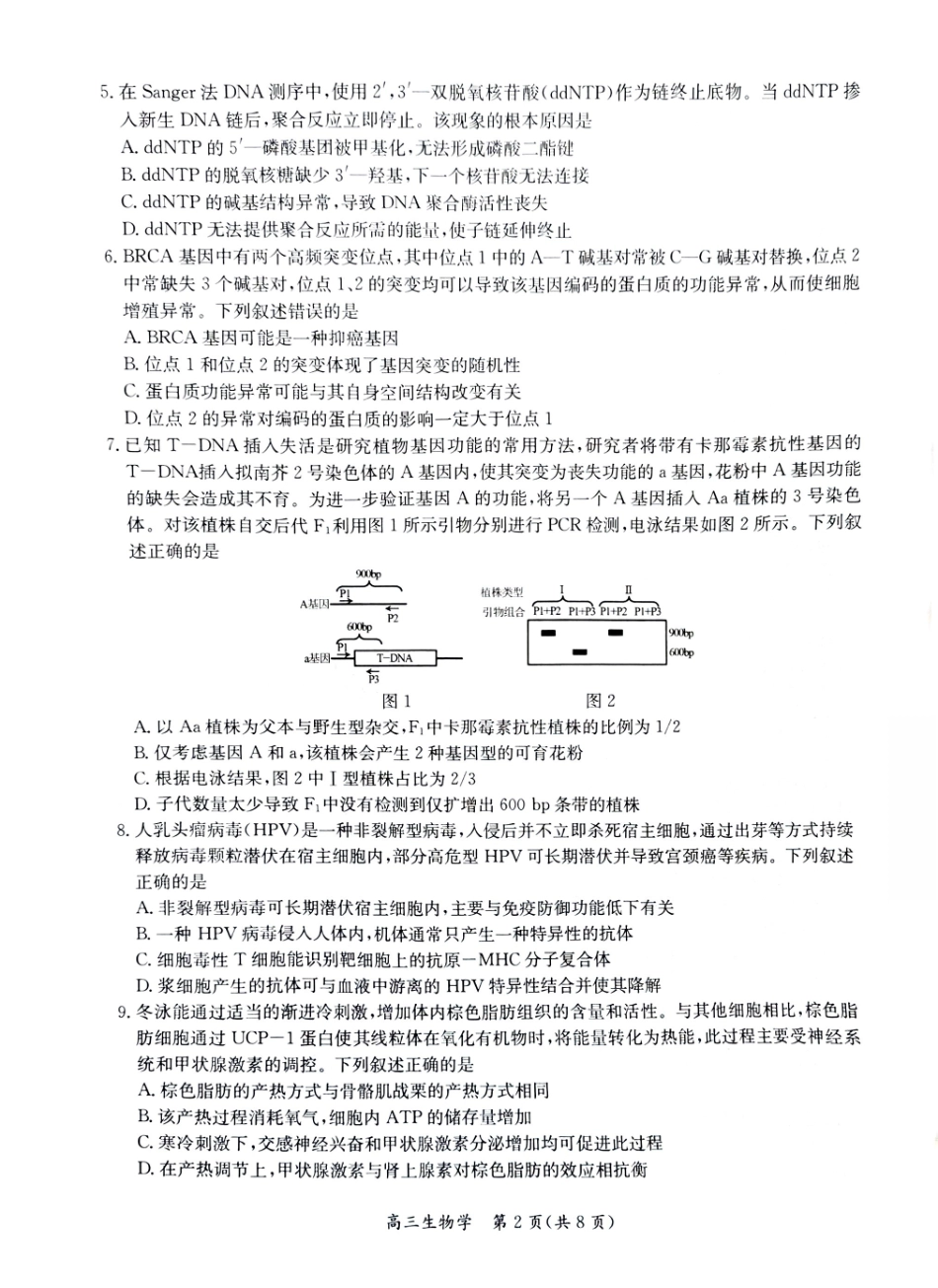 【生物】江苏省新高考基地学校2026届高三年级上学期第一次大联考(12.24-12.26).pdf_第2页