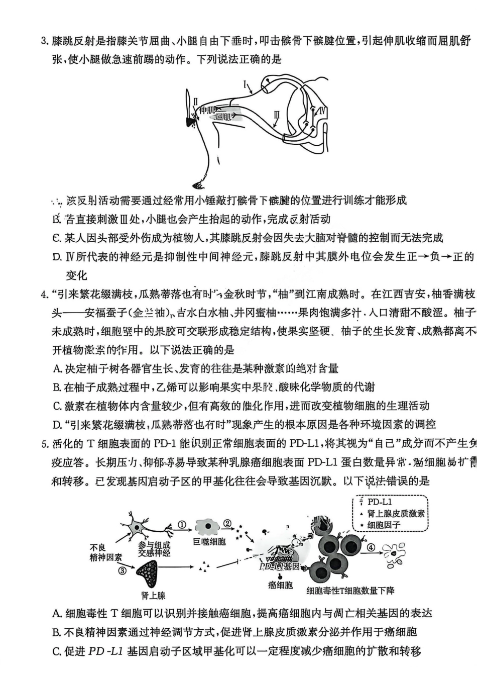 【生物试卷】2025年“三新”协同教研共同体高二联考.pdf_第2页