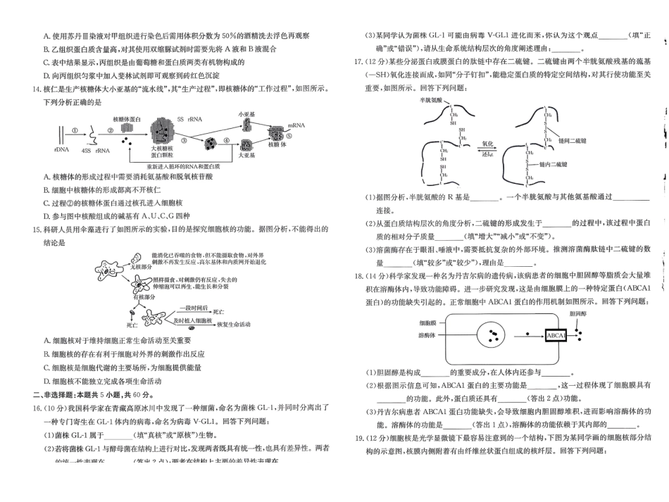 【生物试卷+答案】福建省南平市多校2025一2026学年高一年级第一学期质量检测(12.23-12.24).pdf_第3页