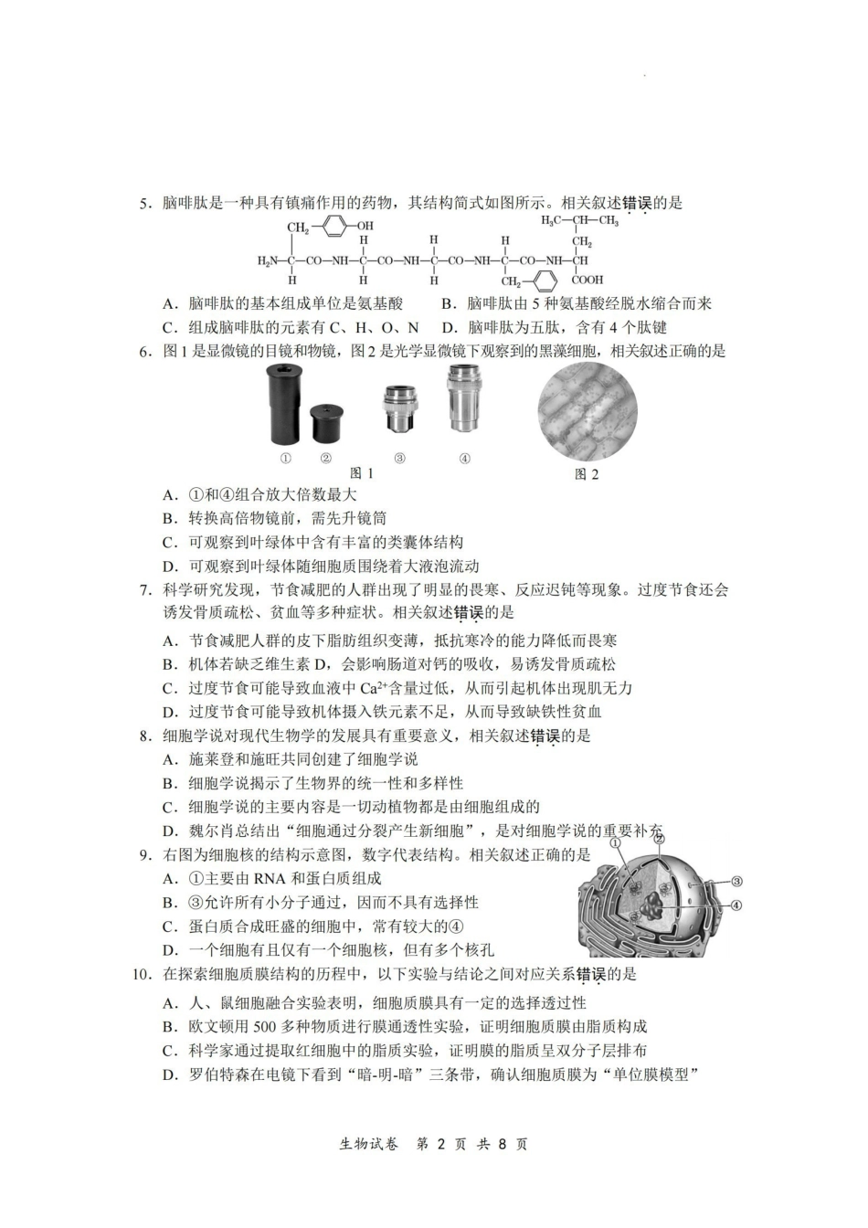 【生物试卷+答案】江苏省盐城市第一中学集团校2025-2026学年高一上学期期中调研考试(11月中旬).pdf_第2页
