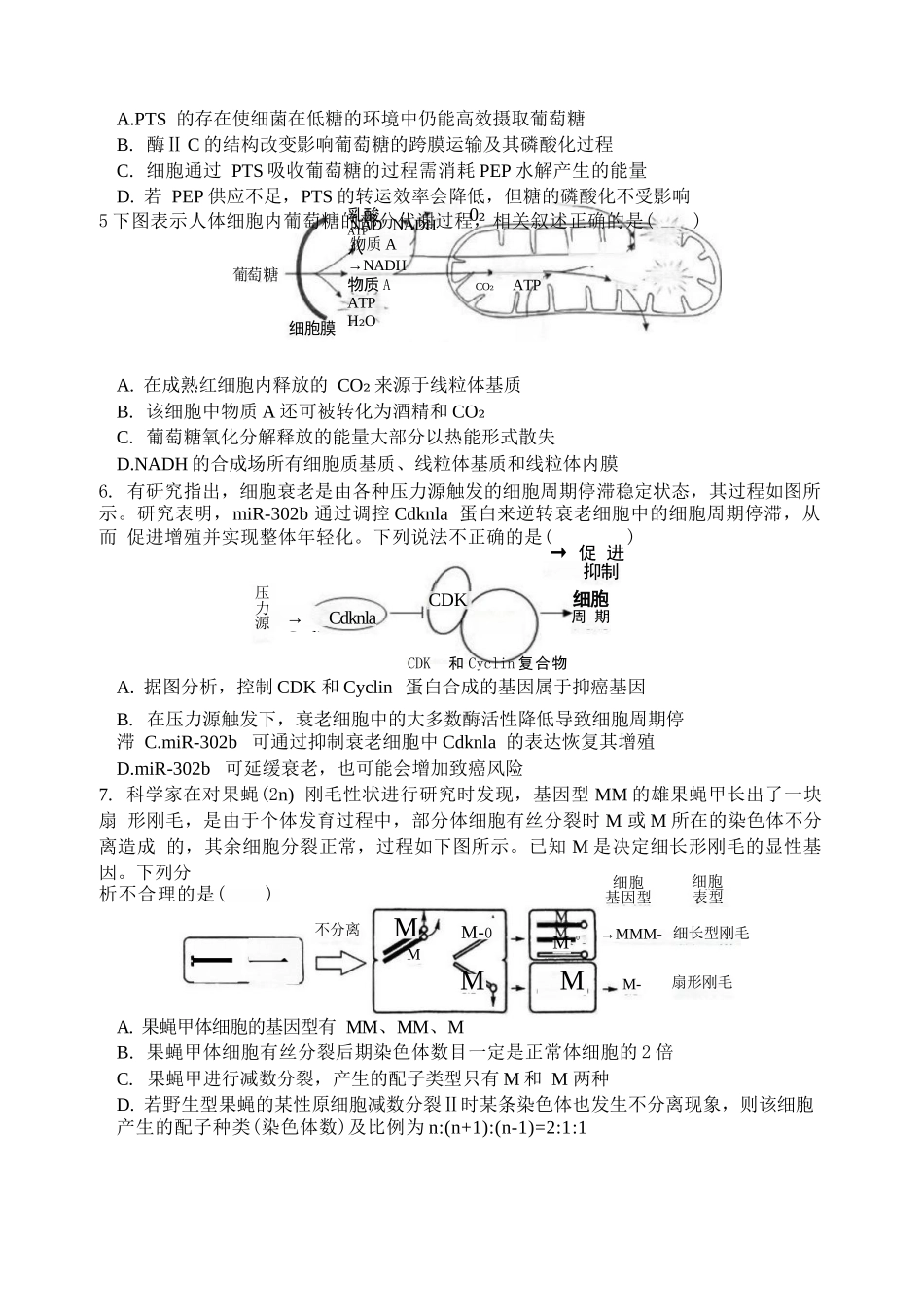 【生物试卷+答案】江苏省扬州市七校联盟2025-2026学年第一学期高三年级第二次联考(12.17-12.18).docx_第2页