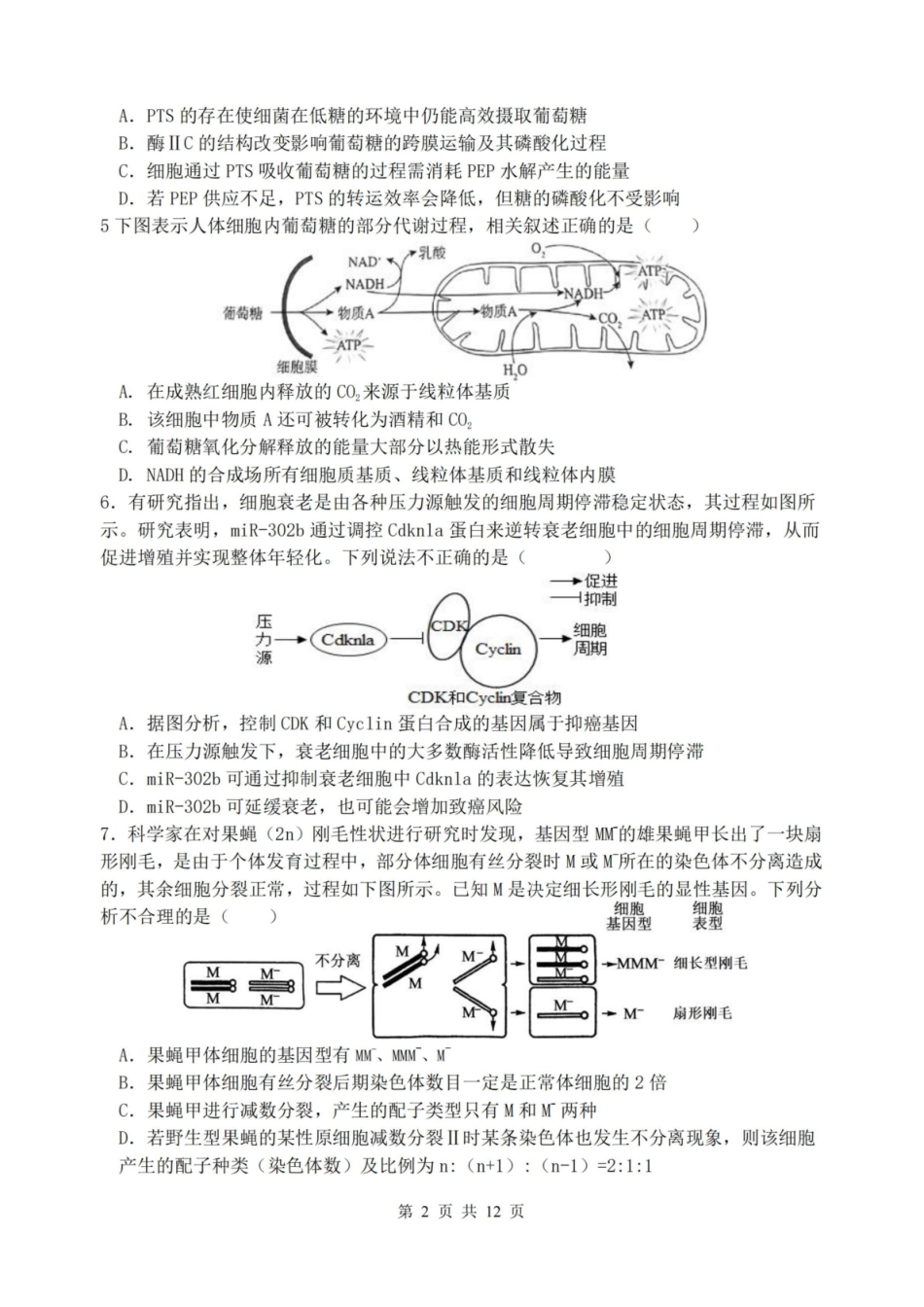 【生物试卷+答案】江苏省扬州市七校联盟2025-2026学年第一学期高三年级第二次联考(12.17-12.18).pdf_第2页