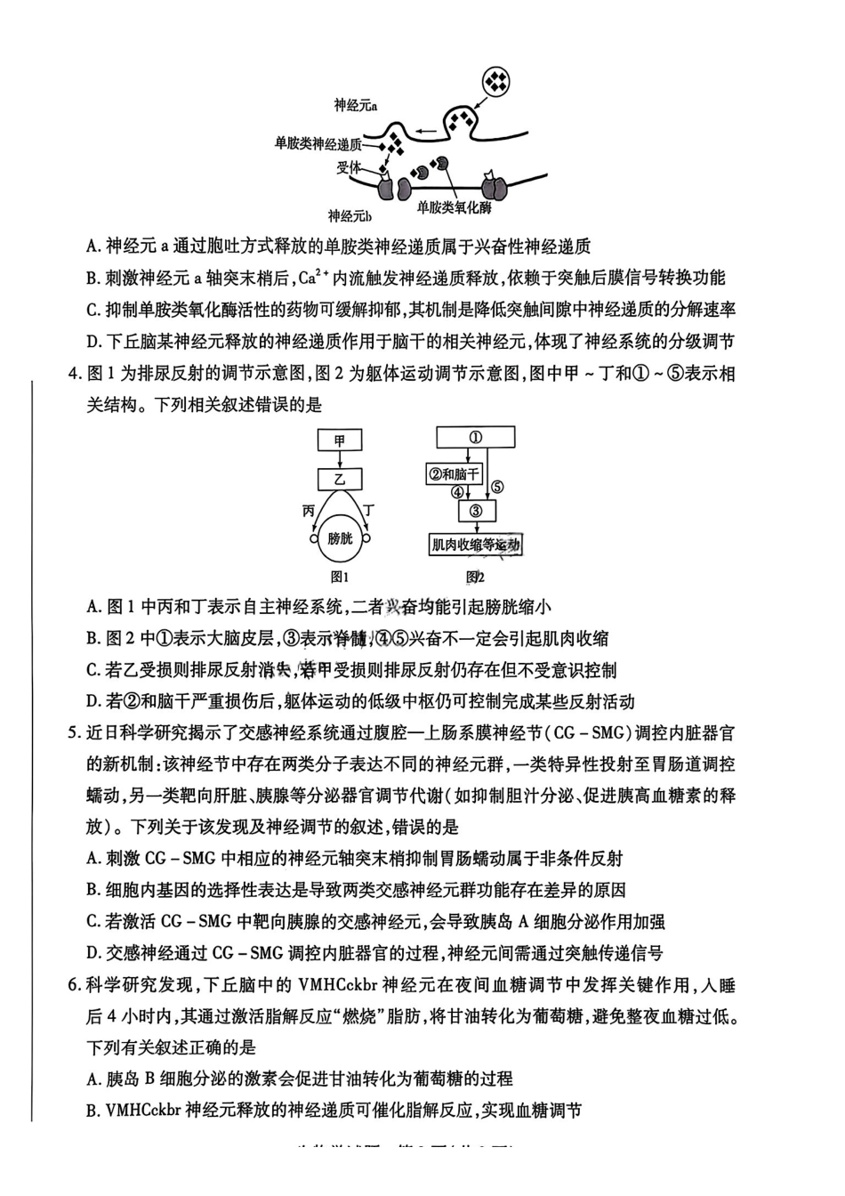 河南省部分学校2025-2026学年高二上学期12月月考生物试题含答案.pdf_第2页
