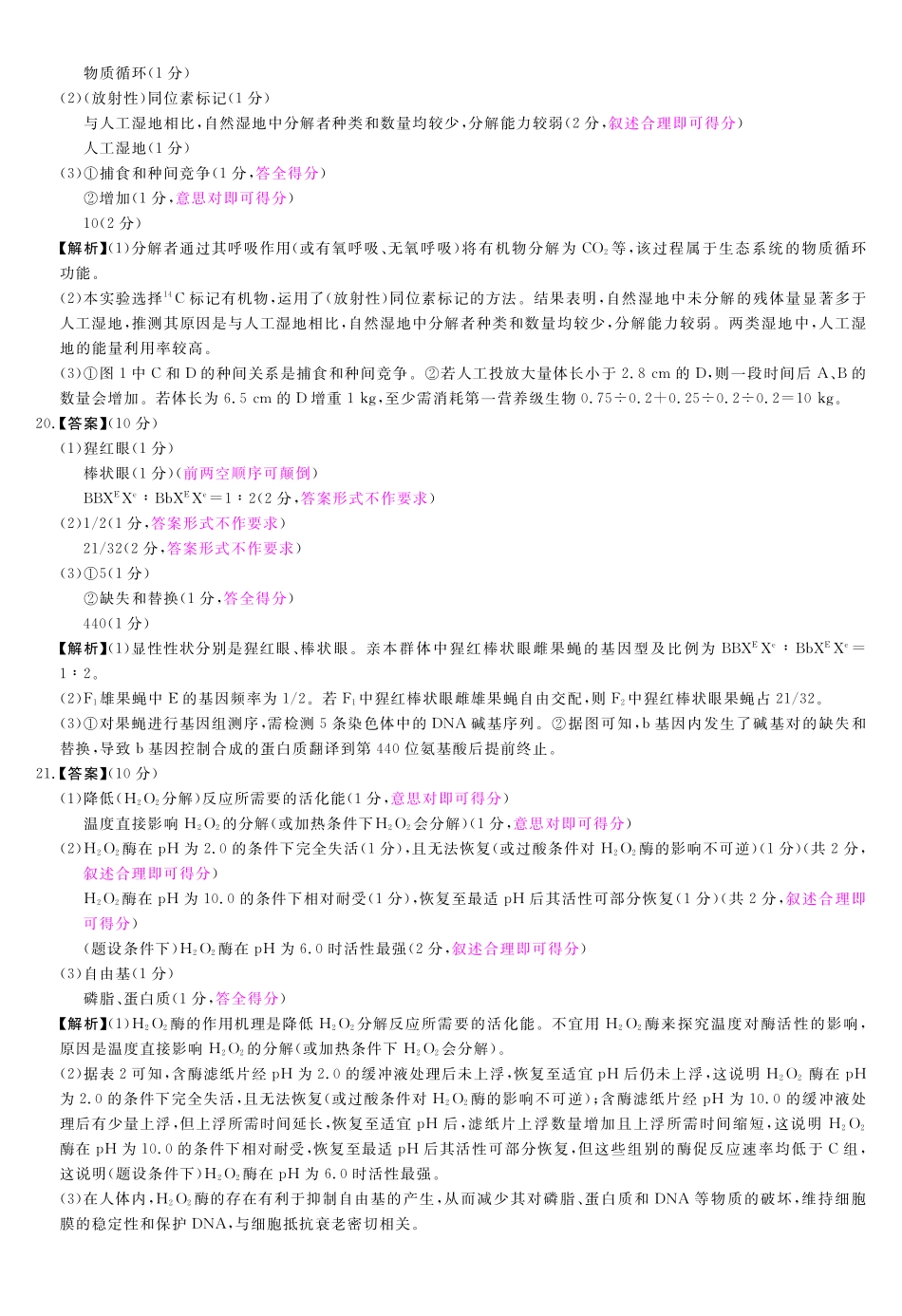 河南省新未来2025～2026学年高三年级12月质量检测生物答案.pdf_第3页
