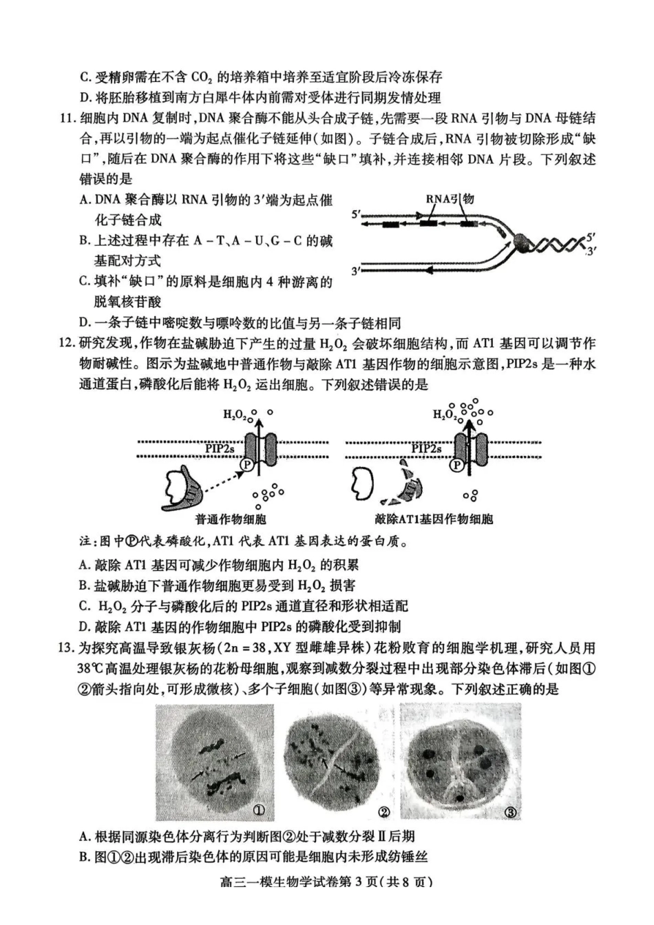 内江市高中2026届第一次模拟考试题生物.pdf_第3页