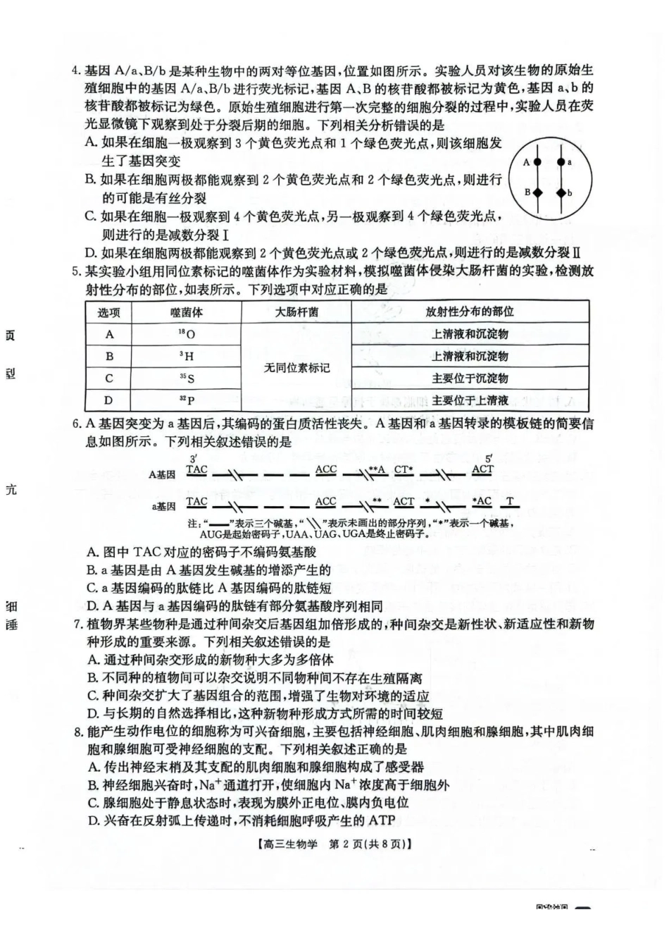 生物试卷()河北省金太阳2026届高三年级上学期12月联考()(12.22-12.23).pdf_第2页