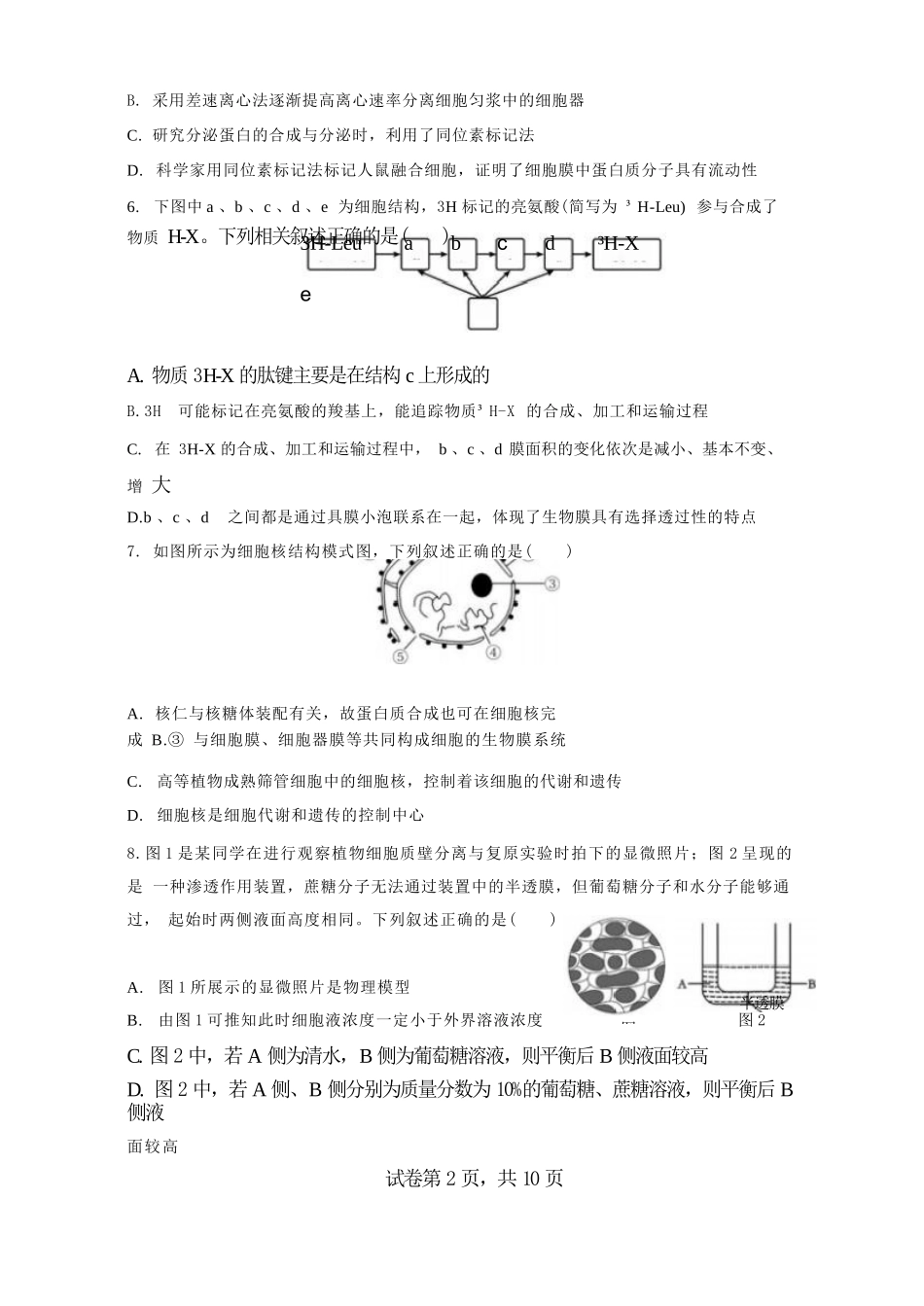 生物试卷+答案辽宁省实验中学2028届高一年级12月份阶段测试(12.12-12.13).docx_第2页