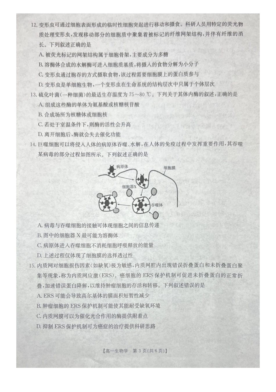 生物试卷广西壮族自治区桂林市、贵港市2025年秋季学期高一年级12月教学质量检测()(12.16-12.17).pdf_第3页