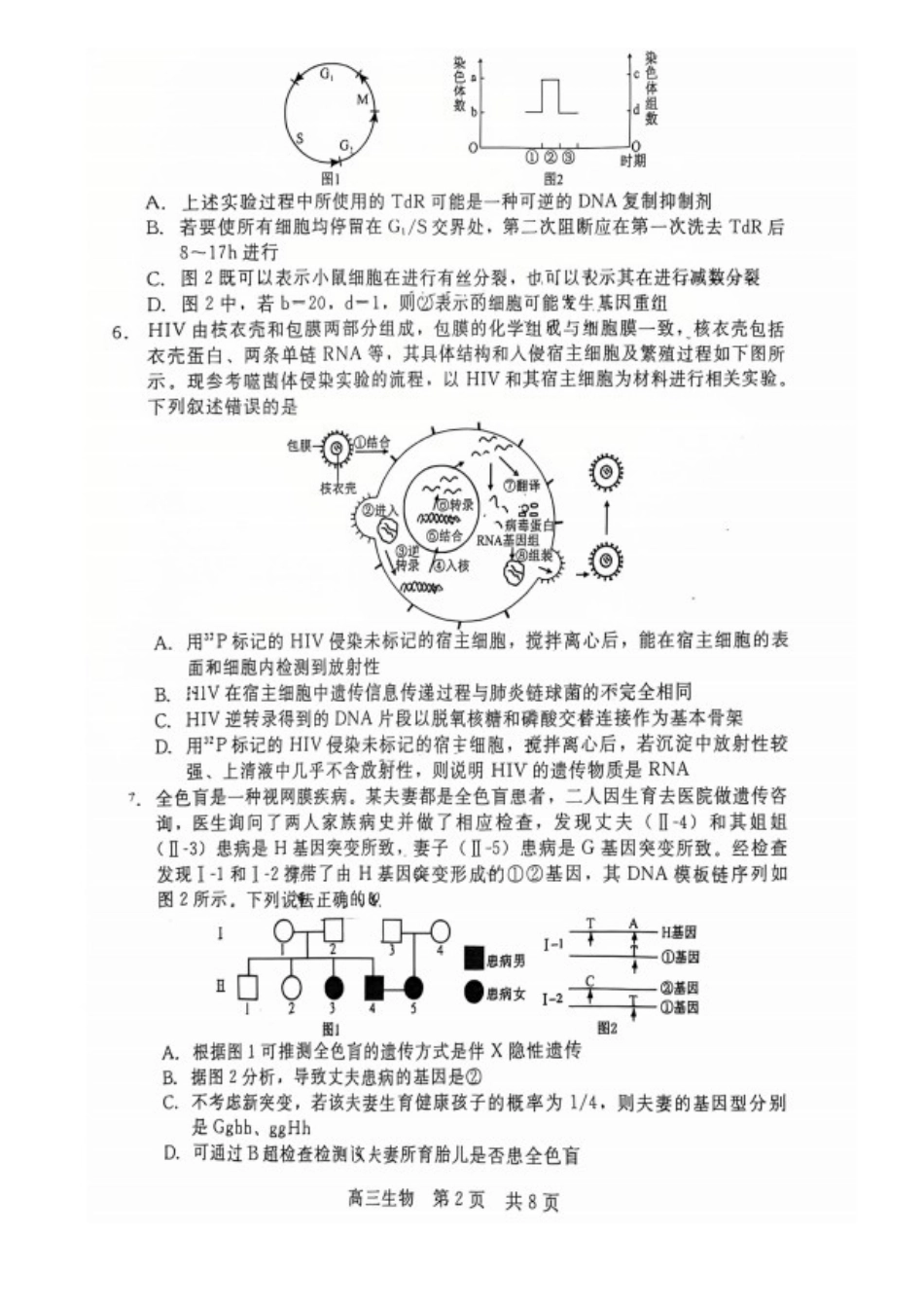 生物试卷河北省NT20名校联合体高三年级12月质量检测考试(12.22-12.23).docx_第3页