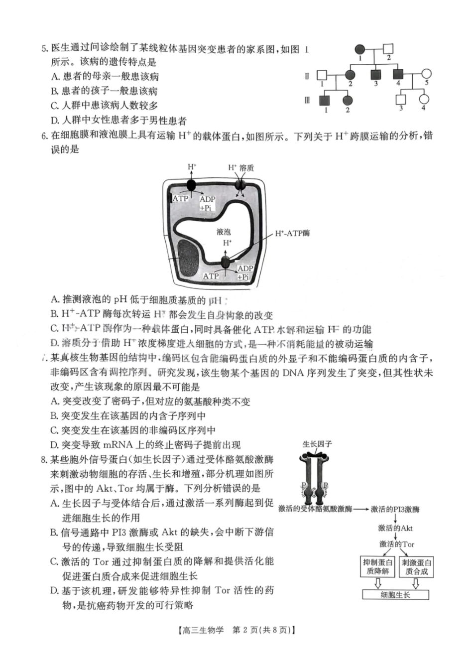生物试卷江西省“三新”协同教研共同体2025年2026届高三年级12月联考(12.25-12.26).pdf_第2页