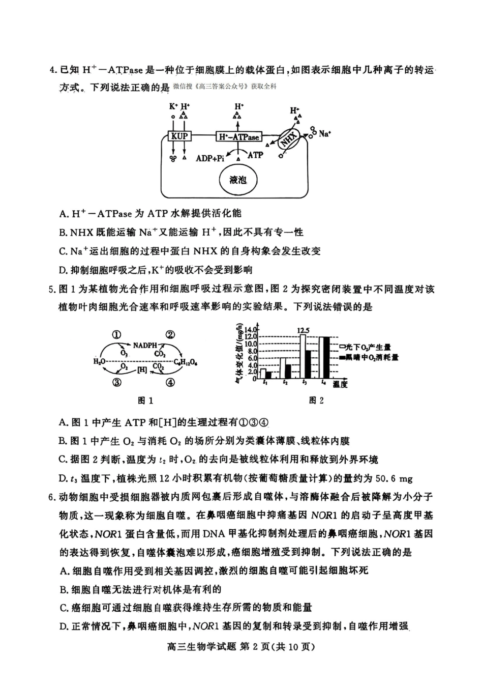 生物试卷山东省山东高考质量测评联盟大联考2026届高三上学期12月联考(12.22-12.23).pdf_第2页