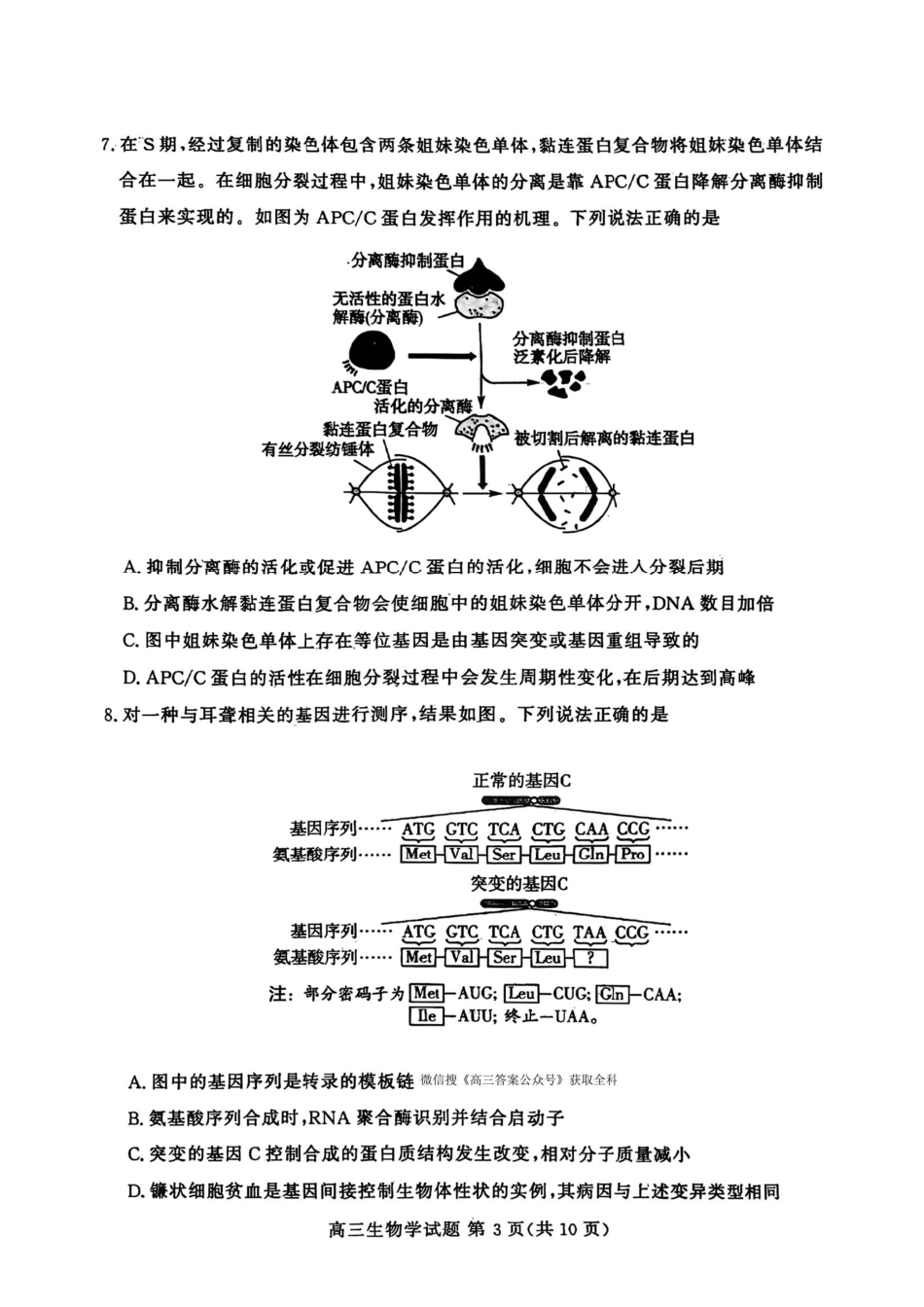 生物试卷山东省山东高考质量测评联盟大联考2026届高三上学期12月联考(12.22-12.23).pdf_第3页