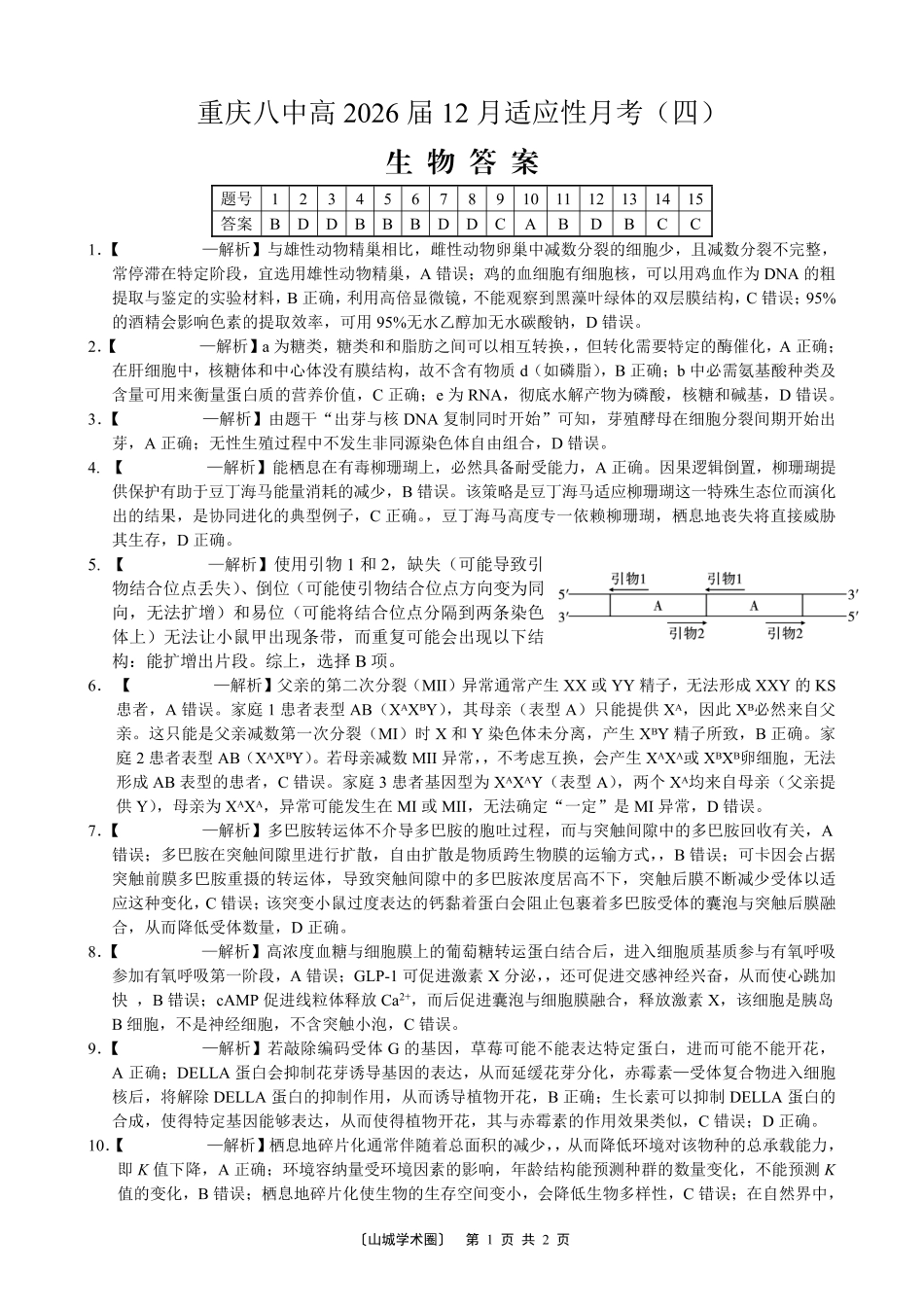 重庆市第八中学2026届高考适应性月考卷（四）生物答案.pdf_第1页