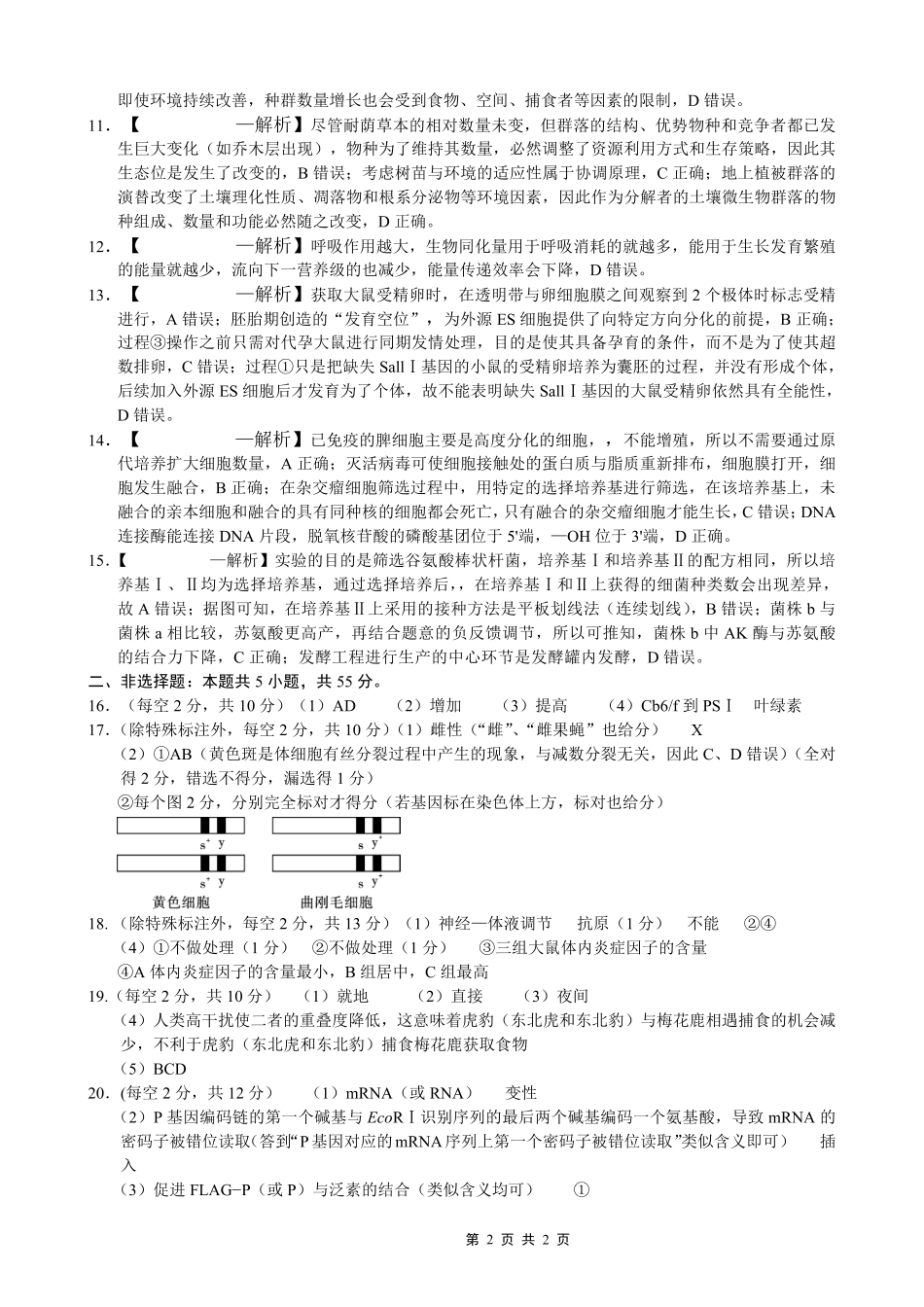 重庆市第八中学2026届高考适应性月考卷（四）生物答案.pdf_第2页