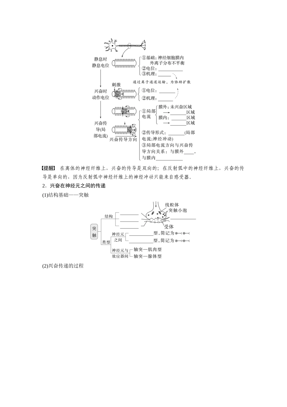 第八单元　第38课时　神经冲动的产生和传导.docx_第2页