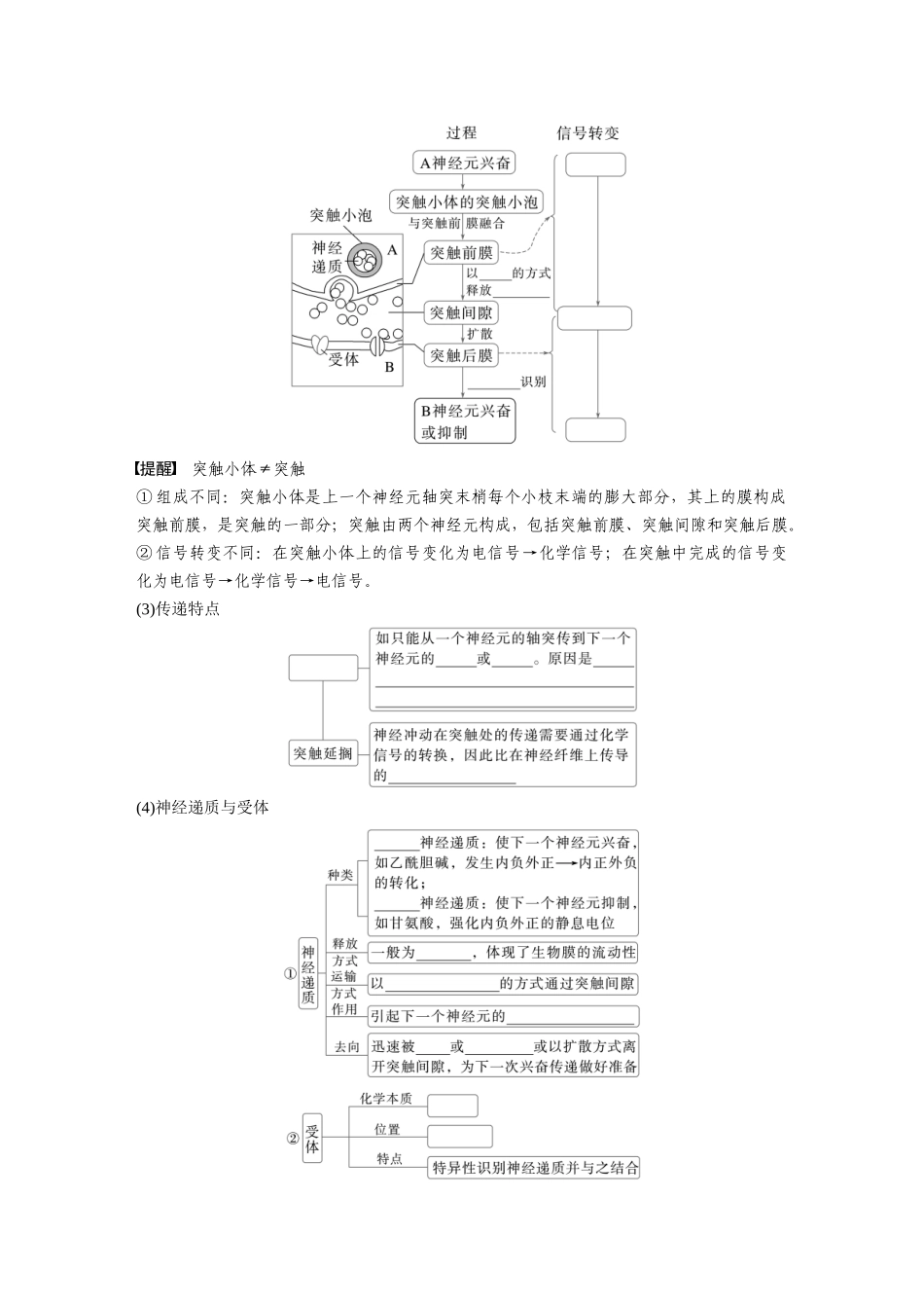 第八单元　第38课时　神经冲动的产生和传导.docx_第3页