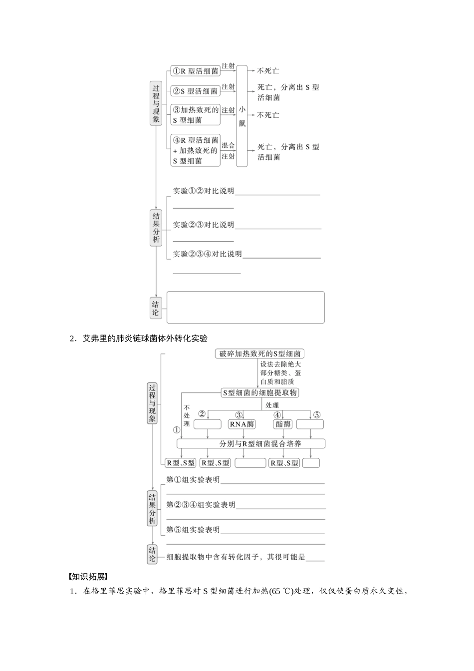 第六单元 第29课时 DNA是主要的遗传物质.docx_第2页