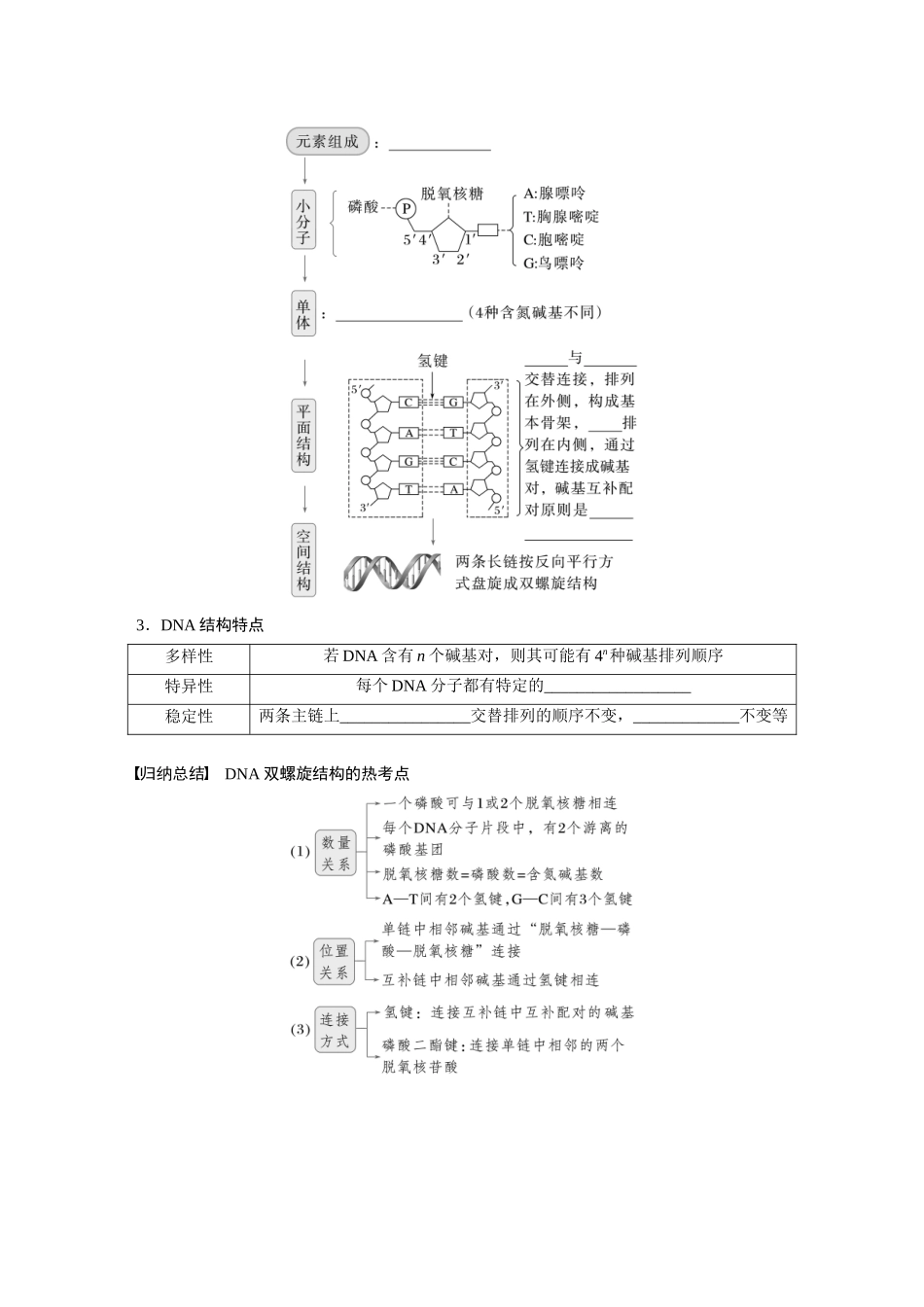 第六单元　第30课时　DNA的结构与复制.docx_第3页