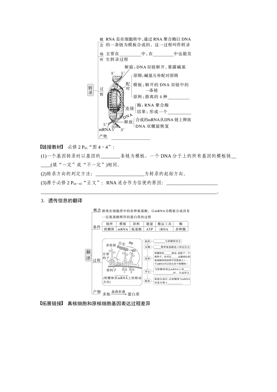 第六单元　第31课时　基因的表达.docx_第2页